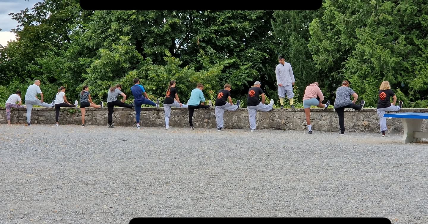 1er jour au plain château
Un succès !
Nous sommes au plain château tout le mois de juillet
Les lundis de 18h30 à 20h
Mercredi 9juillet de 19h30 à 21h
Mercredi 16 juillet de 18h30 à 20h
Venez decouvrir le kungfu Shaolin
Accessible à tous