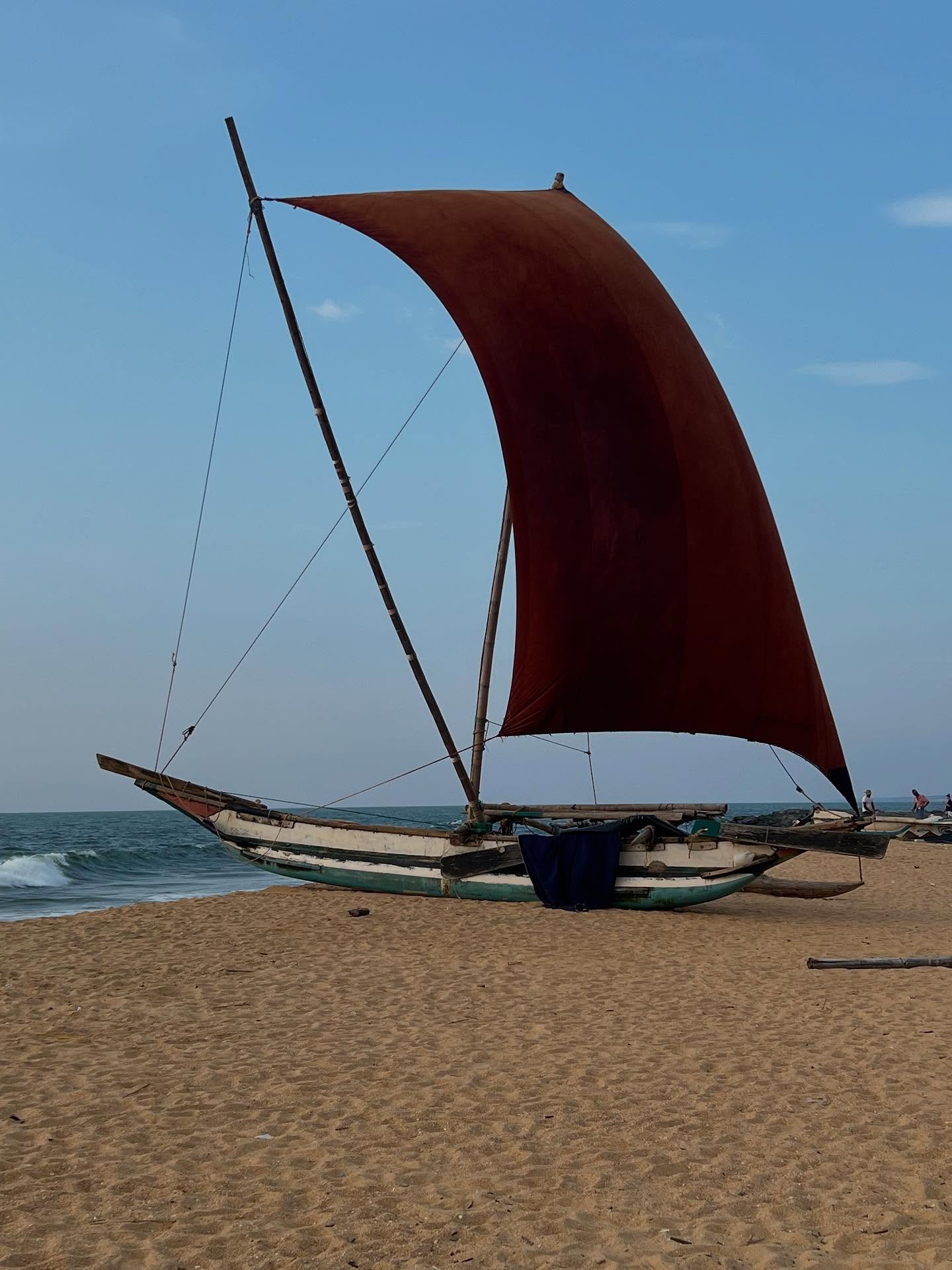 On Sri Lanka’s west coast, Negombo Beach has golden sands and shady palms. The Kithul palm’s sap is boiled down into pure dark brown treacle, served with delicious creamy buffalo curd which I find quite irresistible.
#negombobeach🐚🌴 #negombo #curdandtreacle #palmtreesandsunshine🌴☀️ #travelwriter #travelwriterlife #traveljournalist #srilankanfood
