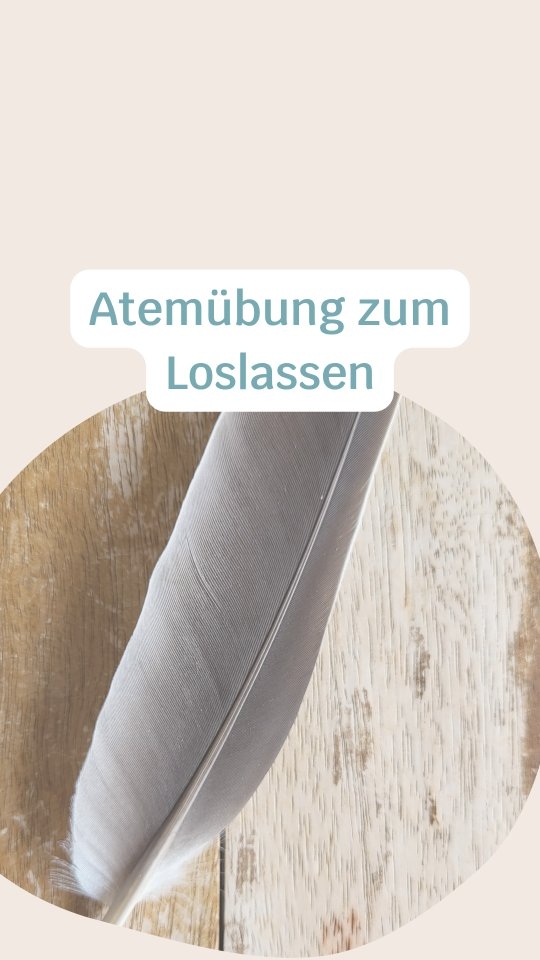Diese Atemtechnik eignet sich super, um Gefühle loszulassen oder in Momenten der Hochspannung Ruhe zu bewahren und emotionale Ausbrüche zu verhindern.
Du kannst sie auch gut nutzen, wenn du im Gedankenkarussel gefangen bist oder den Fokus verloren hast.
Achte darauf, dass du sanfte Fäuste machst: zuerst die Daumen einklappen, dann die Hand zur Faust schliessen.
Sie ist auch unterwegs gut anwendbar, da ziemlich unauffällig.
Sie ist auch für Kinder sehr gut geeignet.
Dafür eignet sich diese Atemtechnik:
🤛🏻zur Emotionsregulation in Stressmomenten
🤛🏻Um hartnäckige Emotionen loszulassen
🤛🏻um negative Gedanken loszulassen
🤛🏻um im Hier und Jetzt anzukommen und die Vergangenheit loszulassen
🤛🏻um den Fokus wiederzufinden
🤛🏻zur besserren Konzentrationsfähigkeit
🤛🏻um das Nervensystem zu regulieren
Schenke mir gerne ein Herz und speichere dir das Reel ab, um es bei Bedarf zur Hand zu haben oder teile es mit interessierten Menschen.
#hochsensibilität #hochsensibel #hochsensible #sensibel #hspcoach #hochsensitiv #hspcoaching #hochsensibelglücklich #feingesinnt #coaching #beratung #seelenweg #leichtigkeit #innereruhe #lebensfreude #energie # #balance #erfolg #selbstbestimmung #selbstliebestärken #selbstreflexion #mentalegesundheit #psychologischeberatung #resilienz #ressourcen #achtsamkeitimalltag #selbstwahrnehmung #selbstfindung #überreizung #nervensystem
COACHING
BERATUNG
HOCHSENSIBILITÄT
EMOTIONSREGULATION
STRESSREGULATION
ABGRENZUNG
POTENTIAL
SELBSTVERTRAUEN
MINDSET