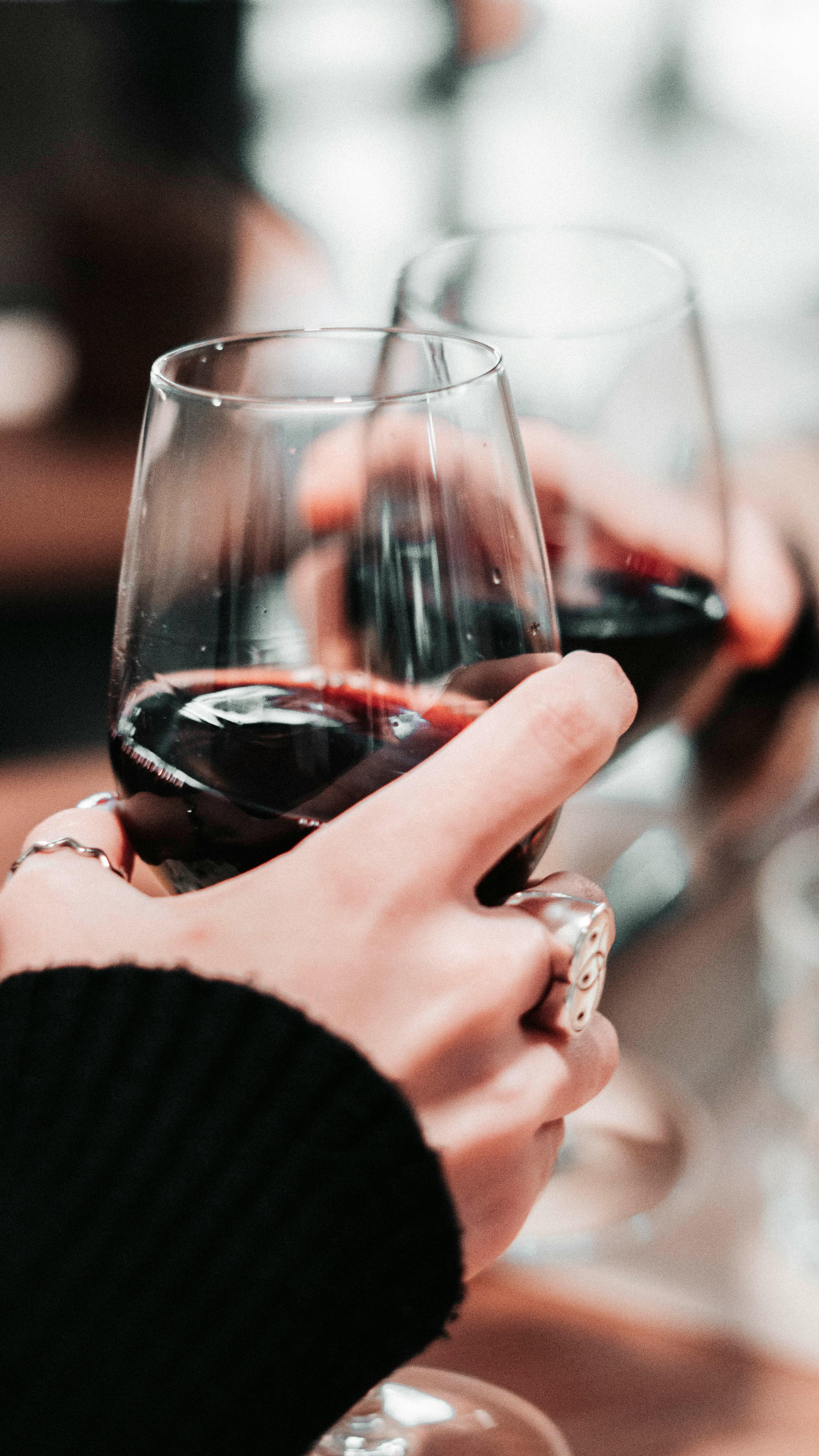 WINE TASTINGS 💎🍇🥂 | That means guests (local & international) can experience our favourite gems from the winelands!
#retreat #safari #winetastings