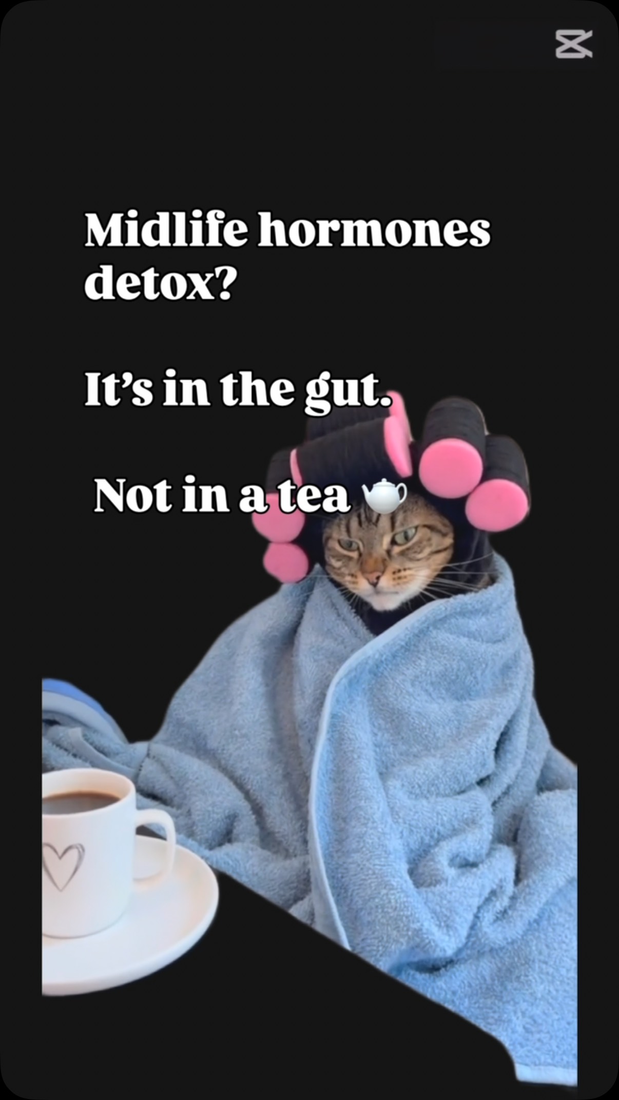 šwww.claudiaolivieri.com
If youāre bloated, moody, or stuck in midlife... your gut might be recycling old estrogen.
The oestrobolome is a group of gut bacteria that breaks estrogen down- and it needs support.
Inside my Midlife Transformation Programme, we reset this naturally.
Contact me to book a free mini consultation.
Link in bio.
#estrogendetox #oestrobolome #hormonalbelly #fastlikeagirl #menopausesupport #midlifetransformationcoach #perimenopausecoach #eatlikeagirl #claudiaolivierinutrition #gozohealth #maltahealth