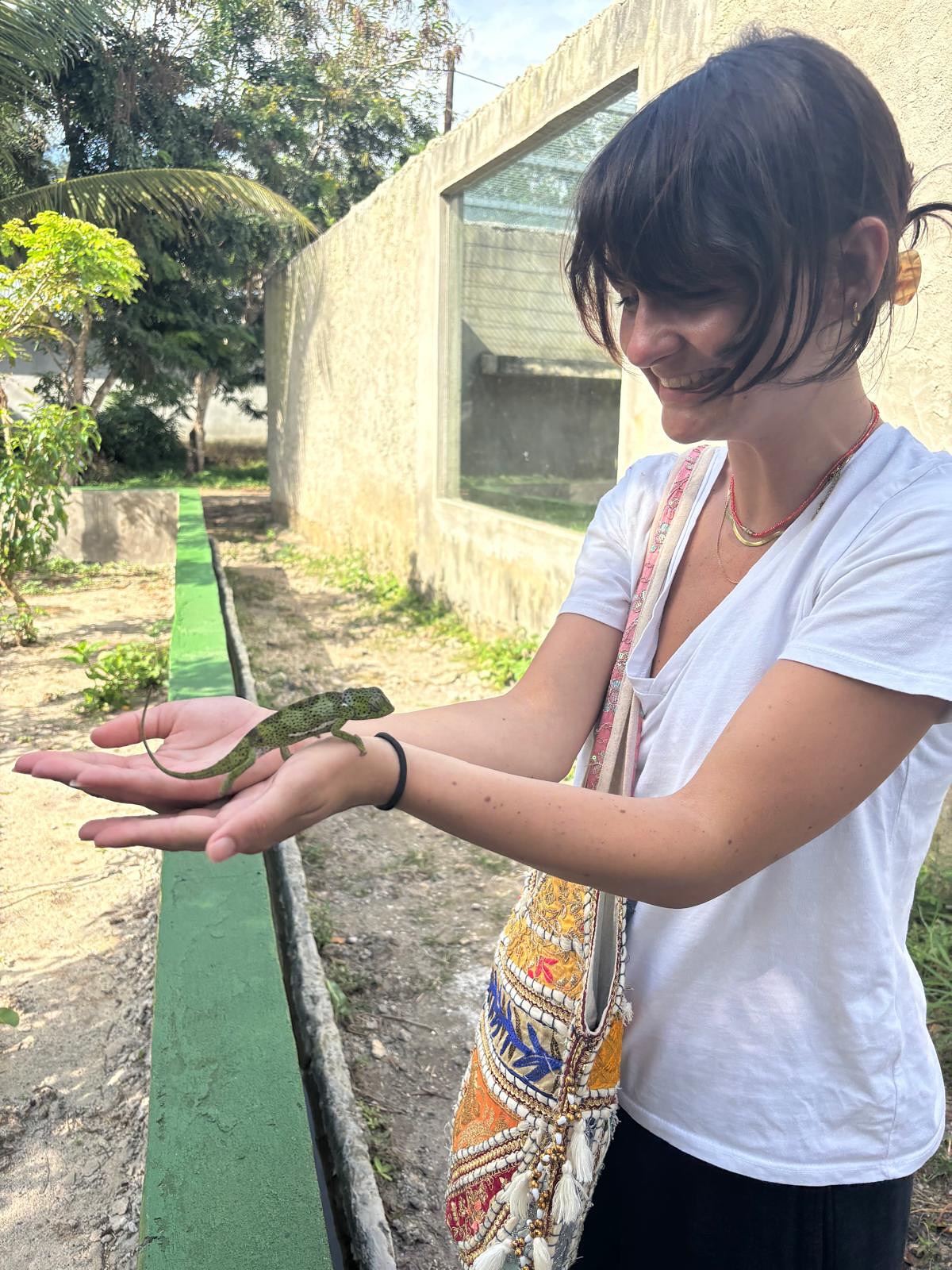 Meet our amazing animals — each one with a story, and all part of the lives we’re helping to change. 🐢🐒 Thanks to our incredible volunteers, safe enclosures have been built so they can roam freely and happily! 🌿🐾
#AnimalWelfare #VolunteerWork #WildlifeCare #MakingADifference #SafeHaven #RoamFree #AnimalLove #CommunityImpact #BoreshamaishaProjects #ProtectWildlife #CompassionInAction #EcoVolunteers #AnimalsOfInstagram #VolunteerAbroad #AnimalRescue