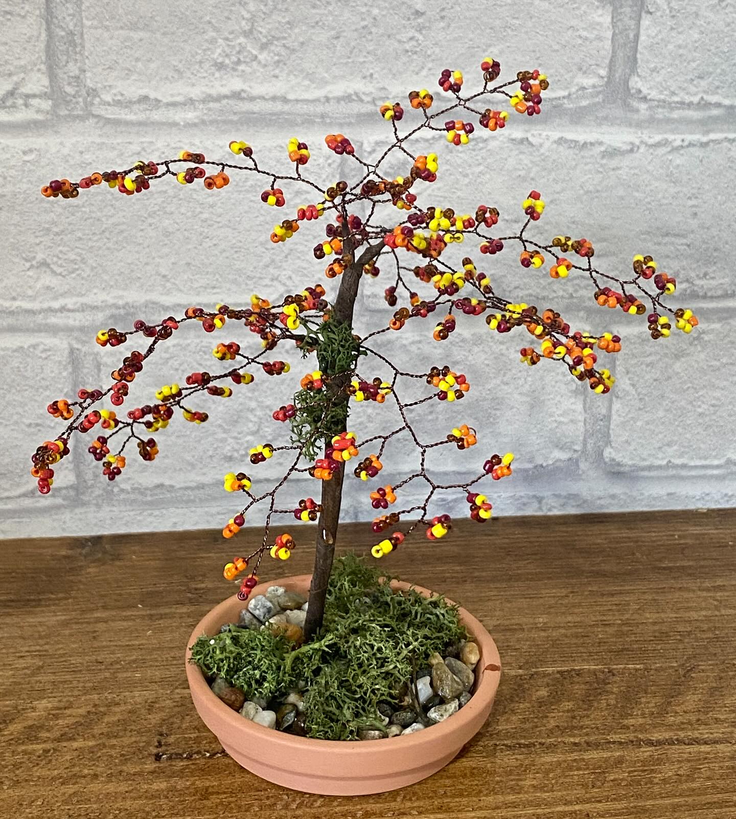 Hottest day of the year, perfect for planning autumn craft kits!
#autumn #autumnvibes🍁 #bonsai #bonsaitree #craftkit #craftyfriends #crafttherapy #creativehappylife #thebeadedgarden