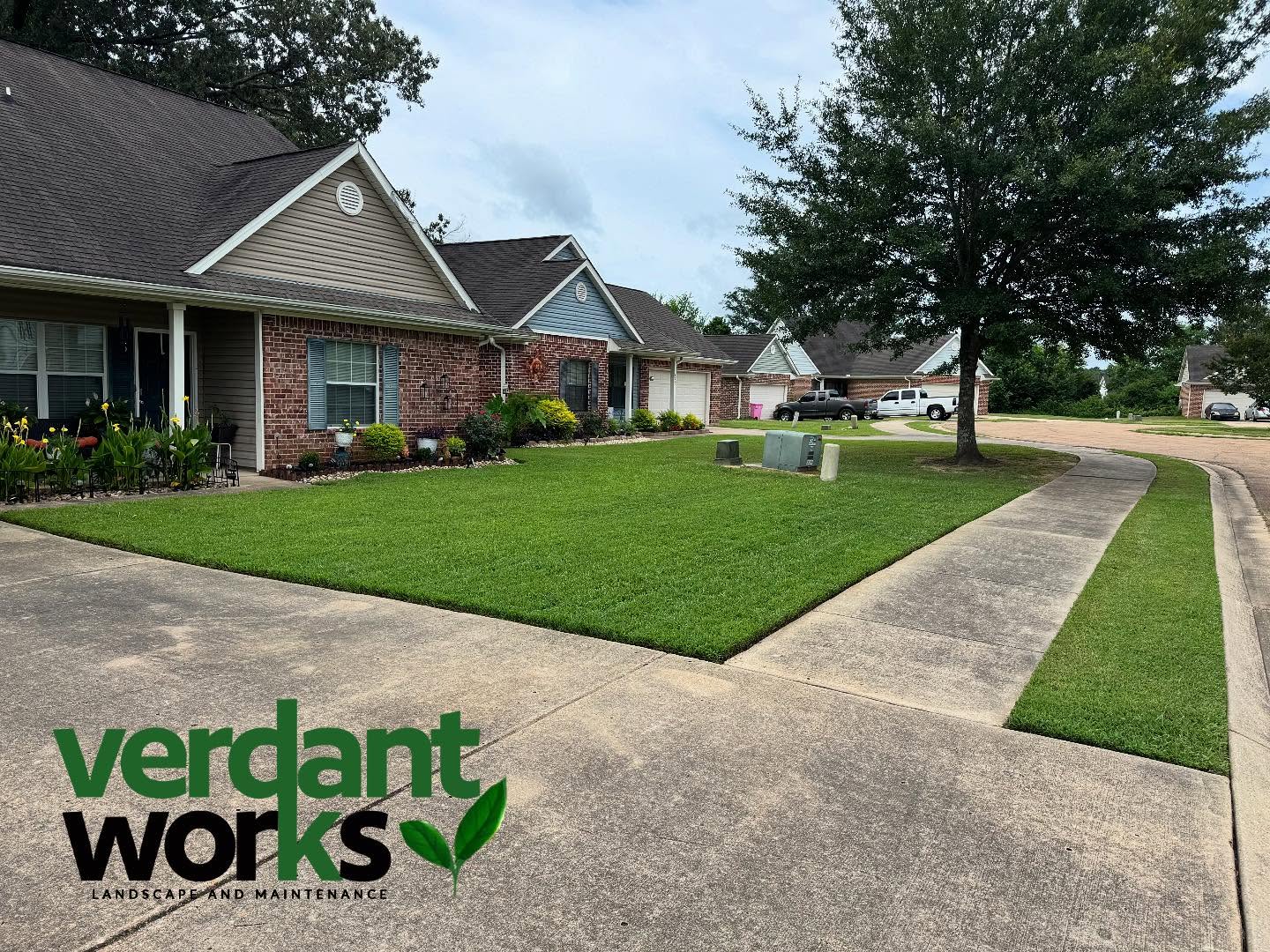 A fresh cut is mandatory for a clean and healthy lawn!🌱 #LawnCare#GreenGrass#StAugustine#VerdantWorks