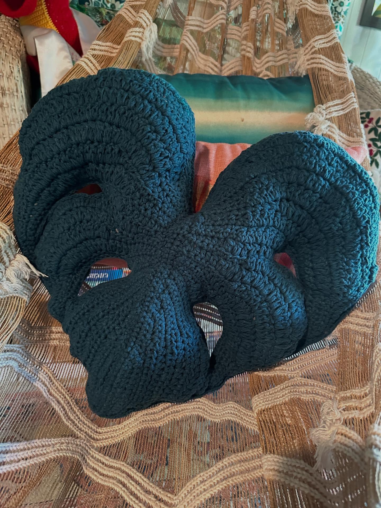 I made a monstera pillow! I got the pattern from @pippapatterns @elwoodbluesdachy is my biggest crochet fan and model