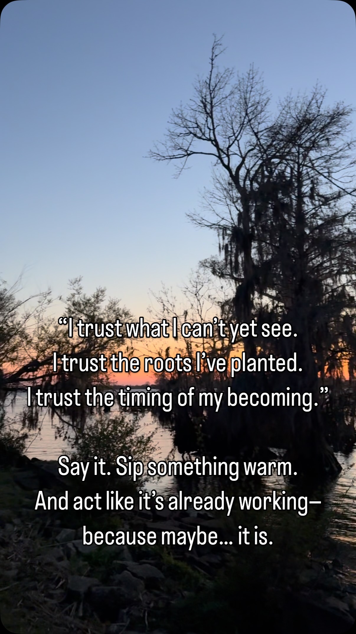 ✨ Niki Paige’s Monday Message:
“What if it’s already working?”
You’ve planted a forest’s worth of seeds.
You’ve kept going through uncertainty.
You’ve cried in the car and still showed up.
You’ve whispered affirmations to yourself while eating crackers over the sink.
(Okay, maybe that last one was me.)
And here’s what your higher self wants you to know:
🌿 There’s movement underground.
Even if you don’t see leaves yet.
Even if it looks like nothing’s happening.
Things are aligning.
You are not stuck.
You’re just becoming—in slow, sacred, sometimes messy motion.
⸻
Today’s Soul Practice (with snacks encouraged):
1. Say this aloud:
“I trust what I can’t yet see.
I trust the roots I’ve planted.
I trust the timing of my own becoming.”
(Yes, even if those roots feel more like spaghetti right now.)
2. Ask yourself:
“What would I do today if I believed it was already working?”
Then do one tiny thing. Even if that’s taking a nap. Especially if that’s taking a nap.
3. Optional Cozy Ritual:
– Make a warm drink. Bonus if it involves foam or marshmallows.
– Sip slowly like it’s a love letter to your nervous system.
– Imagine every drop nourishing your unseen growth.
– Bless your beautifully stubborn patience.
⸻
Your life isn’t waiting for you to get it all together.
It’s unfolding now.
Softly. Subtly.
Waiting for you to believe in yourself.
Like sprouts breaking through soil—before you even notice.
And you?
You’re not late.
You’re right on cosmic time.
#BecomingYou #DivineTiming #HealingWithHumor #SelfCompassion #SacredProcess #CoachThoughts #RootingNotRushing #HotTeaAndHope
#IdentityCrisisButMakeItSacred #HealingWithHumor #GrowthIsMessy #SoulGPS #CoachThoughts #PositivePsychologyWithSnacks #NikiPaigeWellness #NervousSystemRegulation #MondayMessage #NikiPaigeMondayMessage #NikiPaige