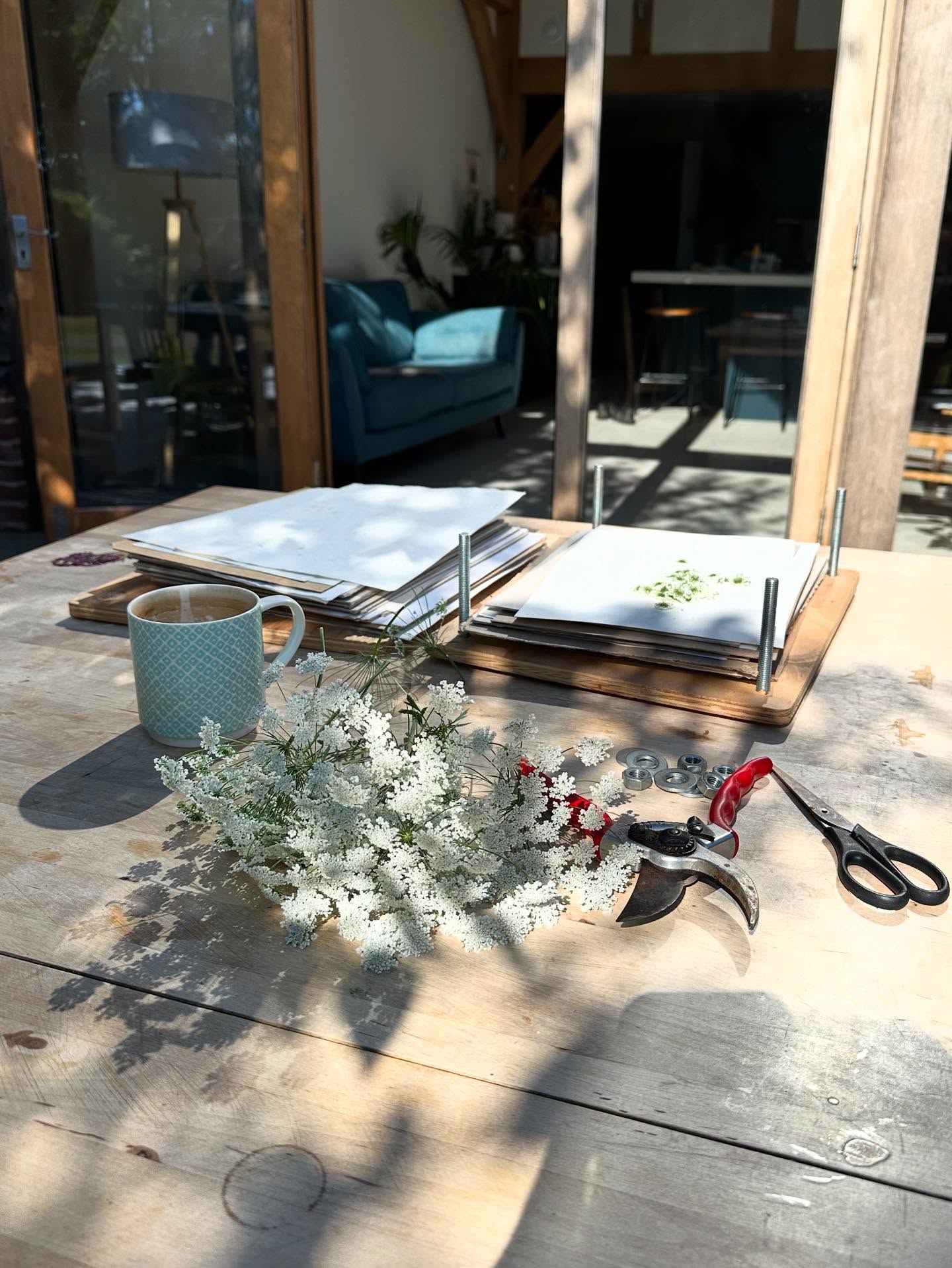 The perfect way to spend a morning…flower pressing in the sunshine 😍☀️
#ammimajus #pressedflowers #flowerjewellery #realflowerjewelry
