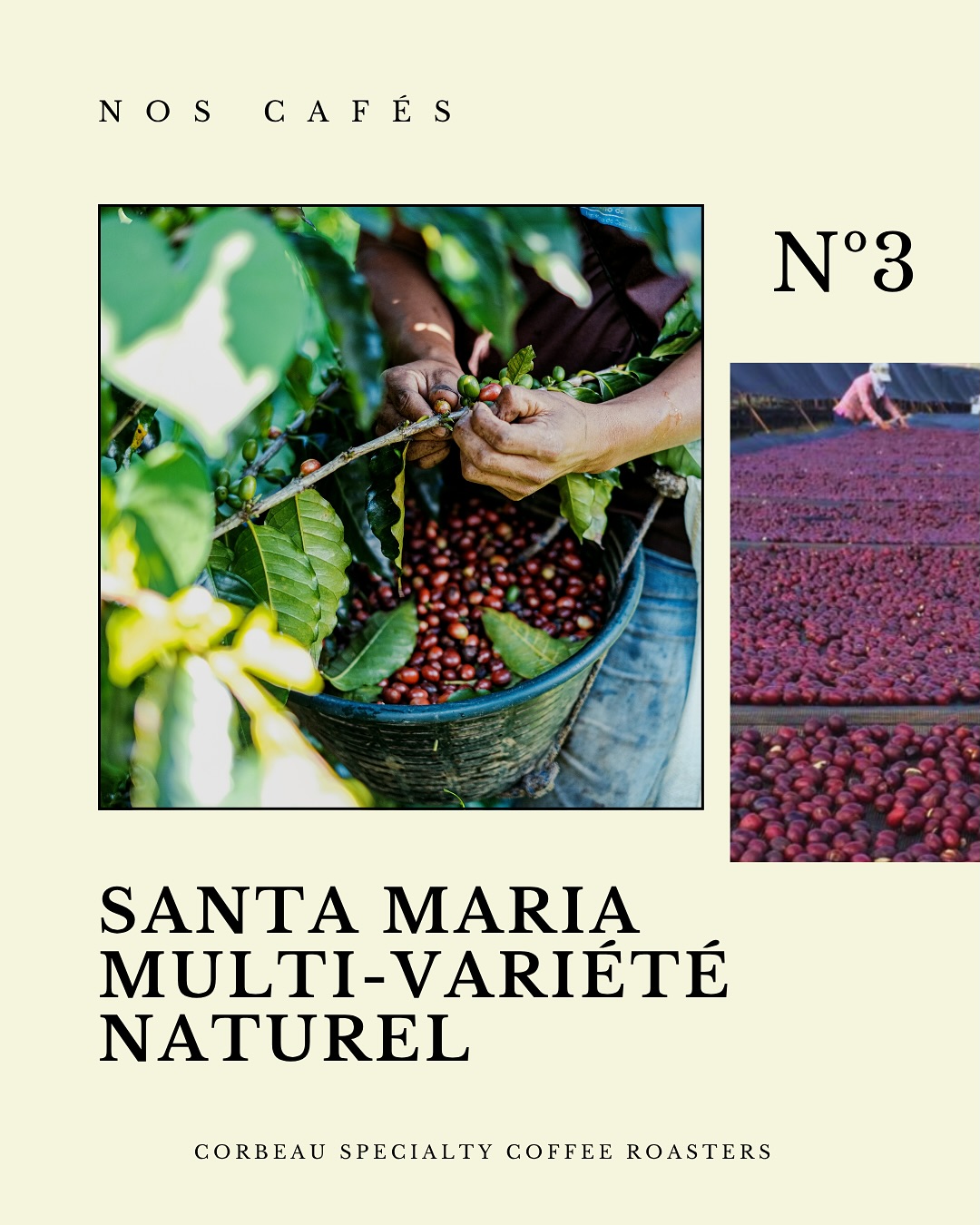 Santa Maria Naturel - Nicaragua
Disponible en sachet et à la tasse au café.
#specialtycoffeeroaster #specialtycoffee #barista #roasters #nicaraguacoffee #montpellierfood