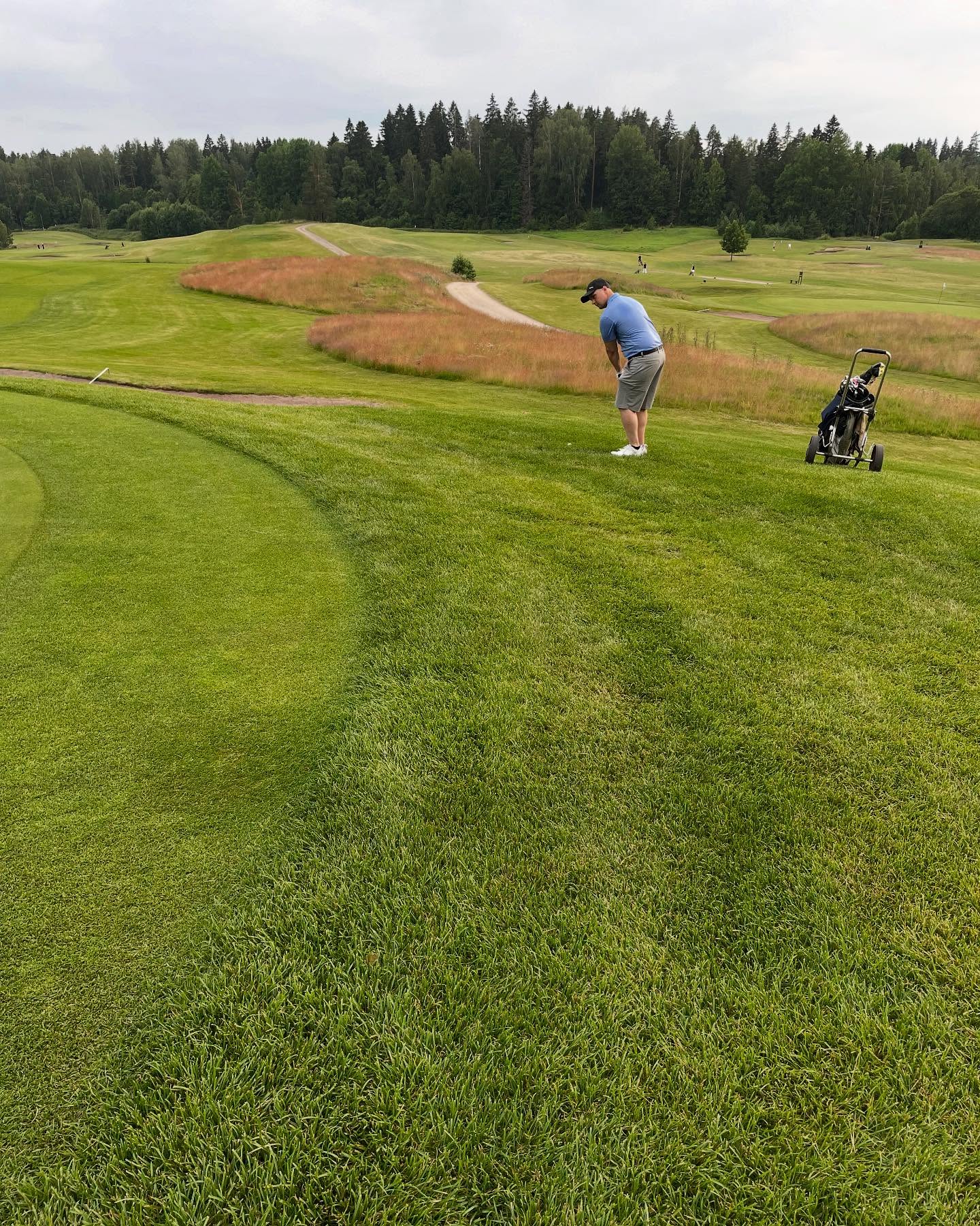Illan tilanne. Kotikenttä. 💚 +25 C