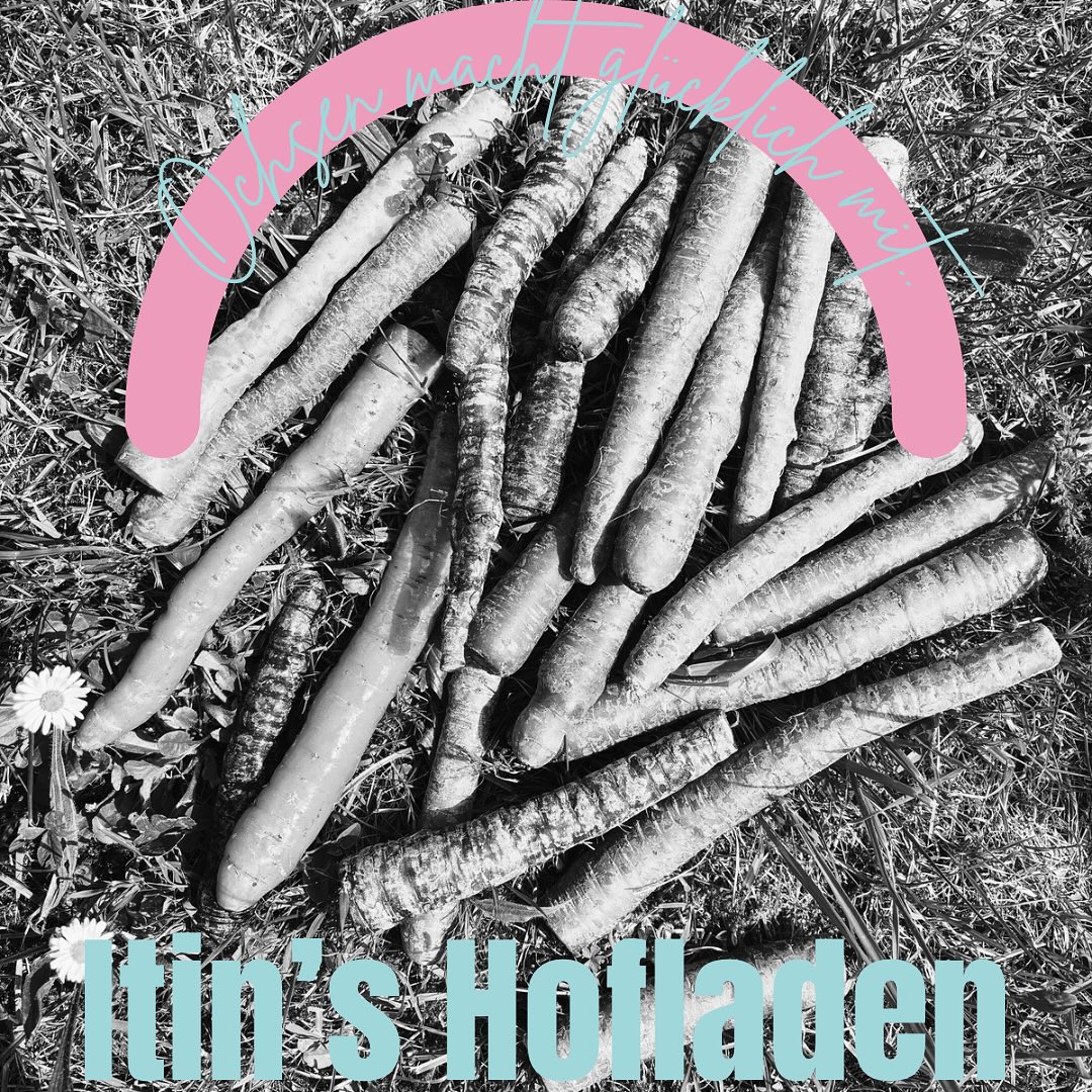 Ochsen macht glücklich mit… Itin’s Hofladen.
Frische, die einfach über den Hügel kommt. 🥕🌿🥬
Wenn bei uns im Ochsen die ersten Tomaten duften oder die Rüebli auf dem Teller knacken, dann ist oft Familie Itin im Spiel. Aus Ormalingen. Direkt vom Feld. Direkt ins Menü.
Wir glauben an ehrliche Produkte, kurze Wege – und an Menschen, die mit Herz produzieren. Genau deshalb arbeiten wir mit Itin’s Hofladen zusammen.
#ochsenmachtglücklichmit #ochsenmachtglücklich #ochsentingen #regionalgeniessen #itinshofladen #ausliebezumprodukt #oltingenisstbesser