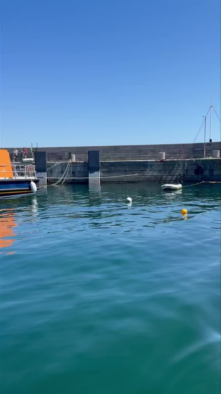 BEAUTIFUL mornings fishing!
2 Cruises around the Copeland Islands today, it’s going to be lovely! Both fully booked and full tomorrow but…
Trips everyday next week at 2pm, book early to avoid disappointment!
❗️Message the page to book on ❗️
#islandboatchartersdonaghadee #copelandislands #islandboatcharters #daysoutni #familydaysoutni #mvislandlady