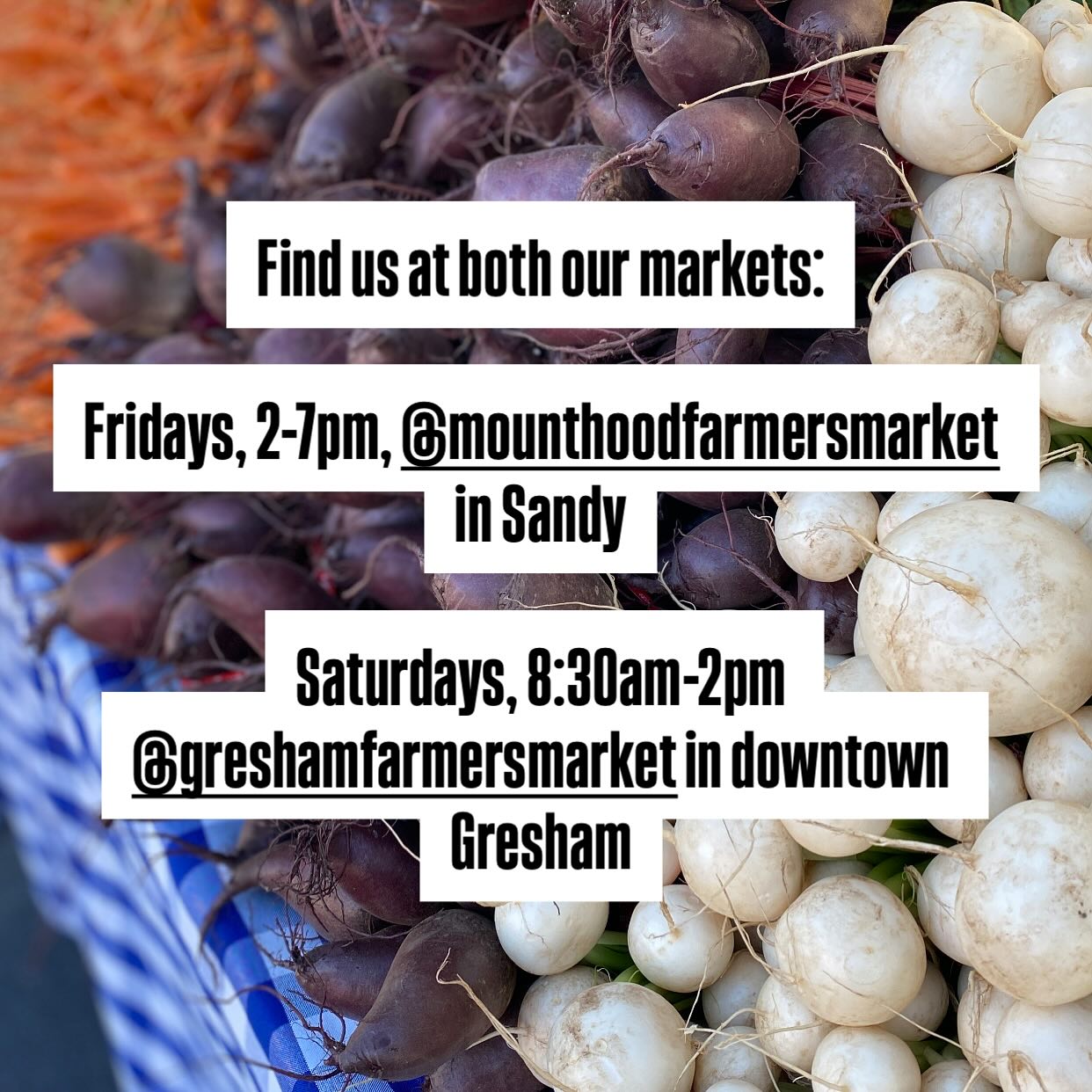 It’s going to be a gorgeous weekend and we have a summer bounty. Come find us at either of our markets.
@mounthoodfarmersmarket
@greshamfarmersmarket
#sliceofheavenfarm
