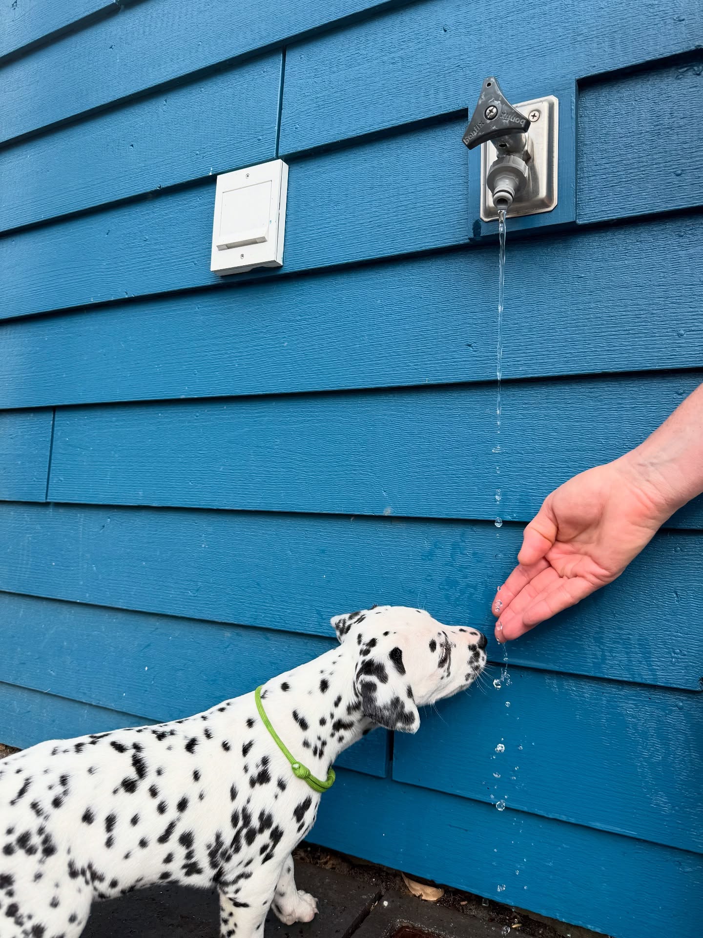 Elke dag valt er hier wat te beleven😂
#socialiseren #waterbakvullen #interessantzonbuitenkraan
