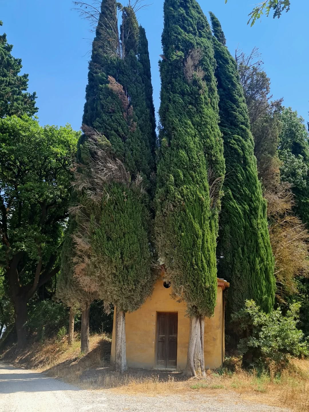 A little gem hidden in the tuscan countryside
#tuscany #summer #summervibes #chapel #beautyfull