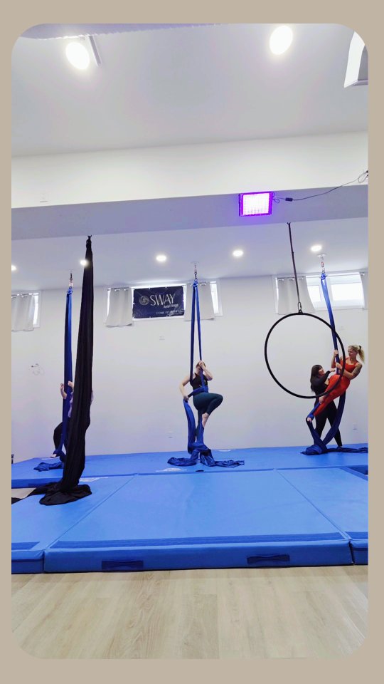 Beginner Silks – where we turn “I can’t” into “I DID” 🔥
We’re building strength, mobility, and confidence together.
Learning footlocks, climbing, holding our own body weight and of course... silk burpees. 👀 Wrapped up with a deep stretch and a little coach-assisted love 😘
This is your sign to try something new. Your grip might shake, but your confidence will soar. Register on @mindbody or on our website, link in our BIO.
#SwayAerialFitness #BeginnerSilks #WomenWhoLiftEachOther #SwayAF #Community #GymDifferent