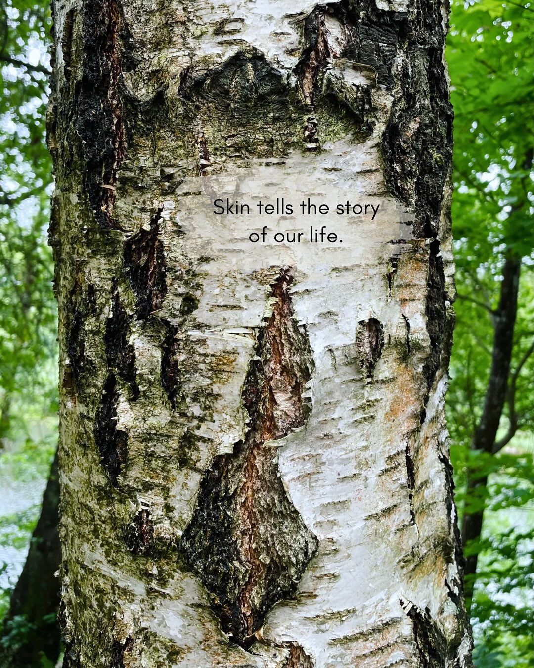 There’s something deeply moving about the textures I notice on my forest walks, especially the tree trunks. Worn, weathered, and full of character, like our skin, they carry the story of each tree. 🌳
#trees #forestwalk #nature #mindfulwalking #forestbathing #photography #art #aesthetics #presents #lifestory #skin #treetrunks #emotions #memories