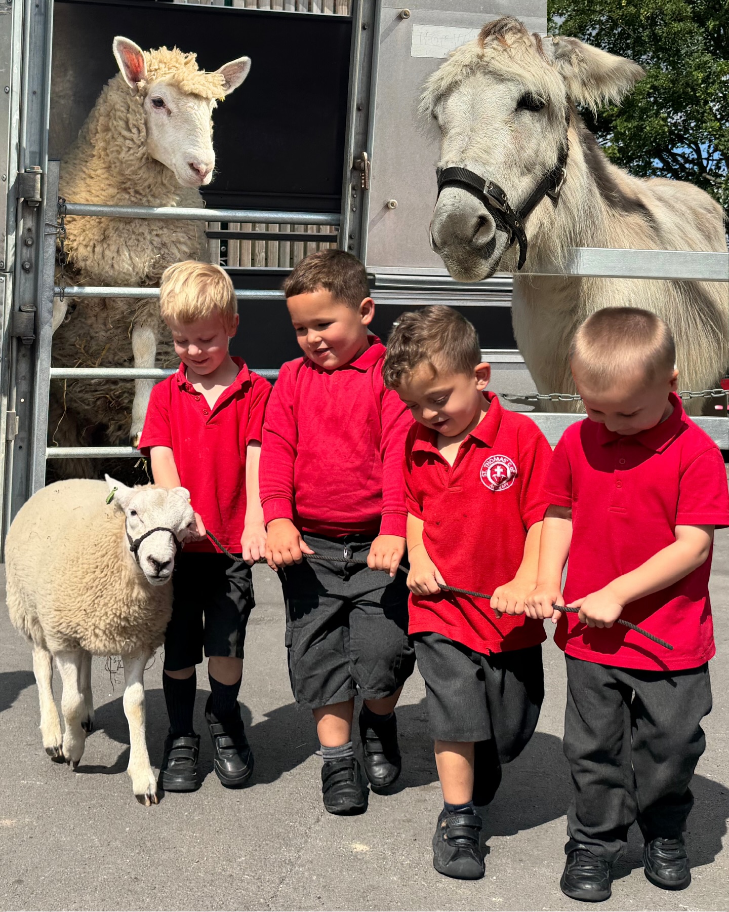 Last week the children enjoyed a special visit from The Farm on Wheels! Take a look at them meeting the animals!! 🐑🐰🐥🐓