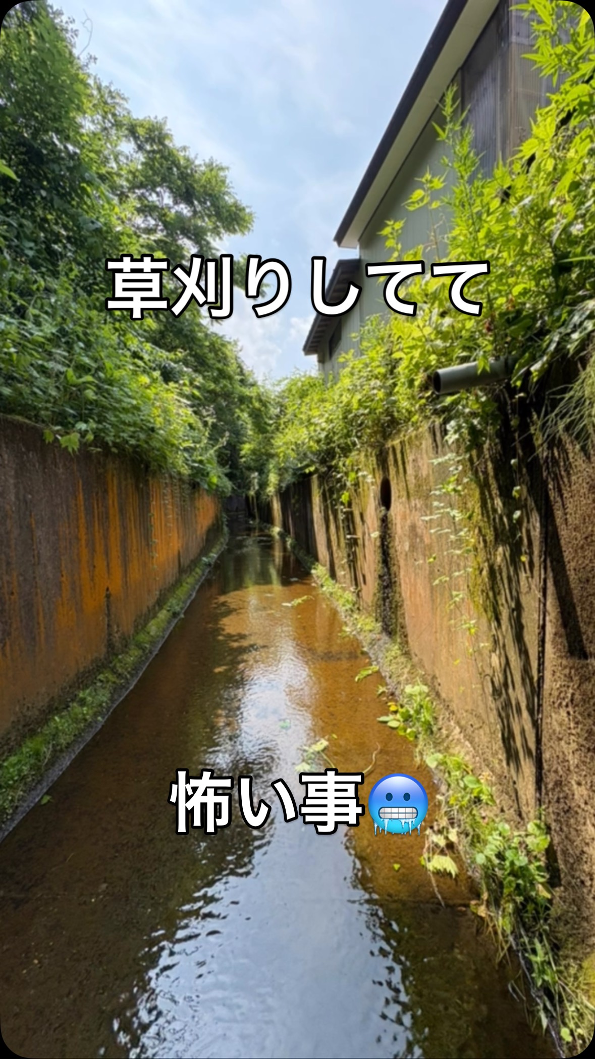 #蓮 #レインボーハス園 #生出 #生前整理 #ハウスクリーニング #八幡平市 #盛岡市 #コリーヌドゥガブリエル #双頭蓮 #遺品整理弘光 #蜂