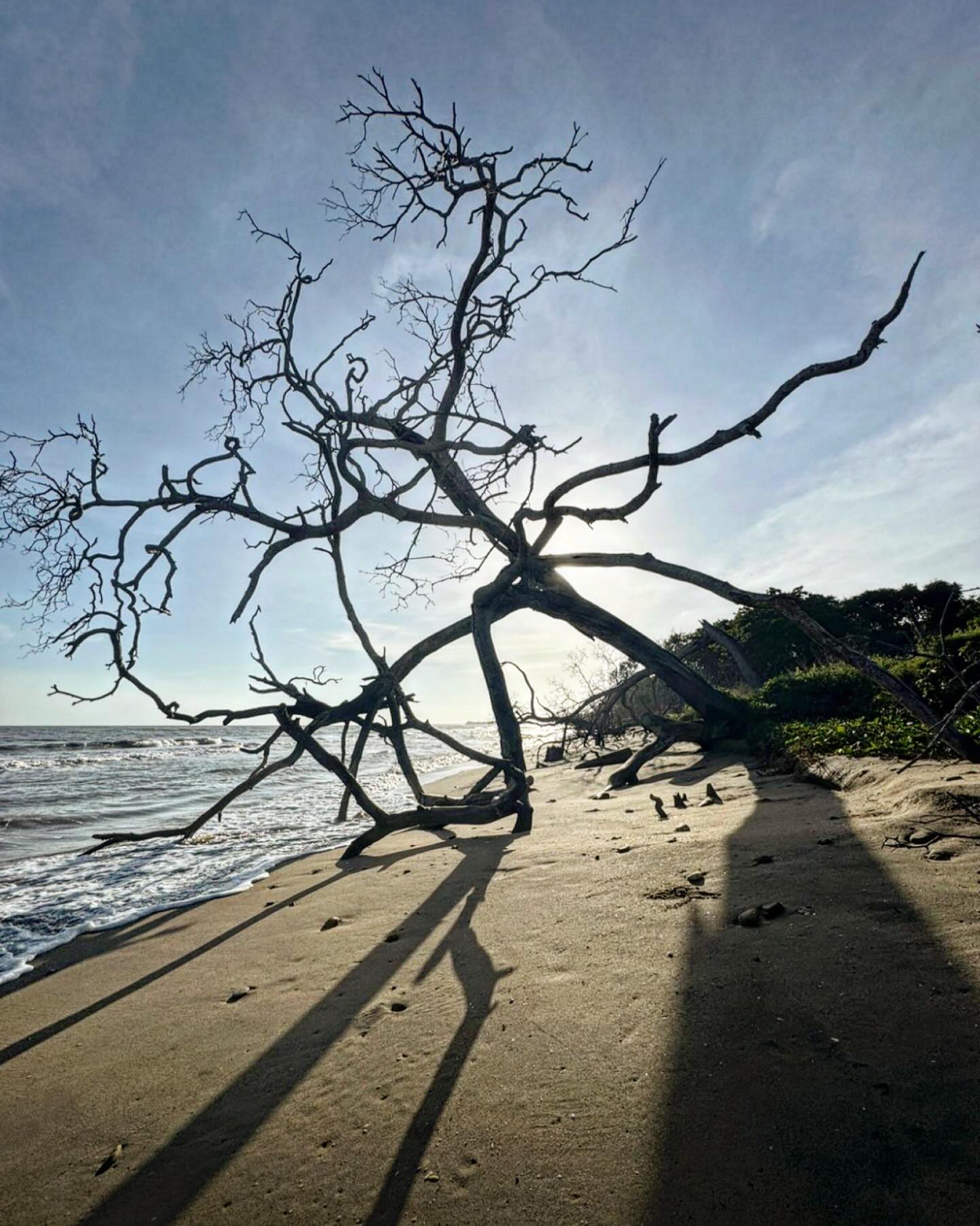 La naturaleza hace su propio arte en Territorio Mágico