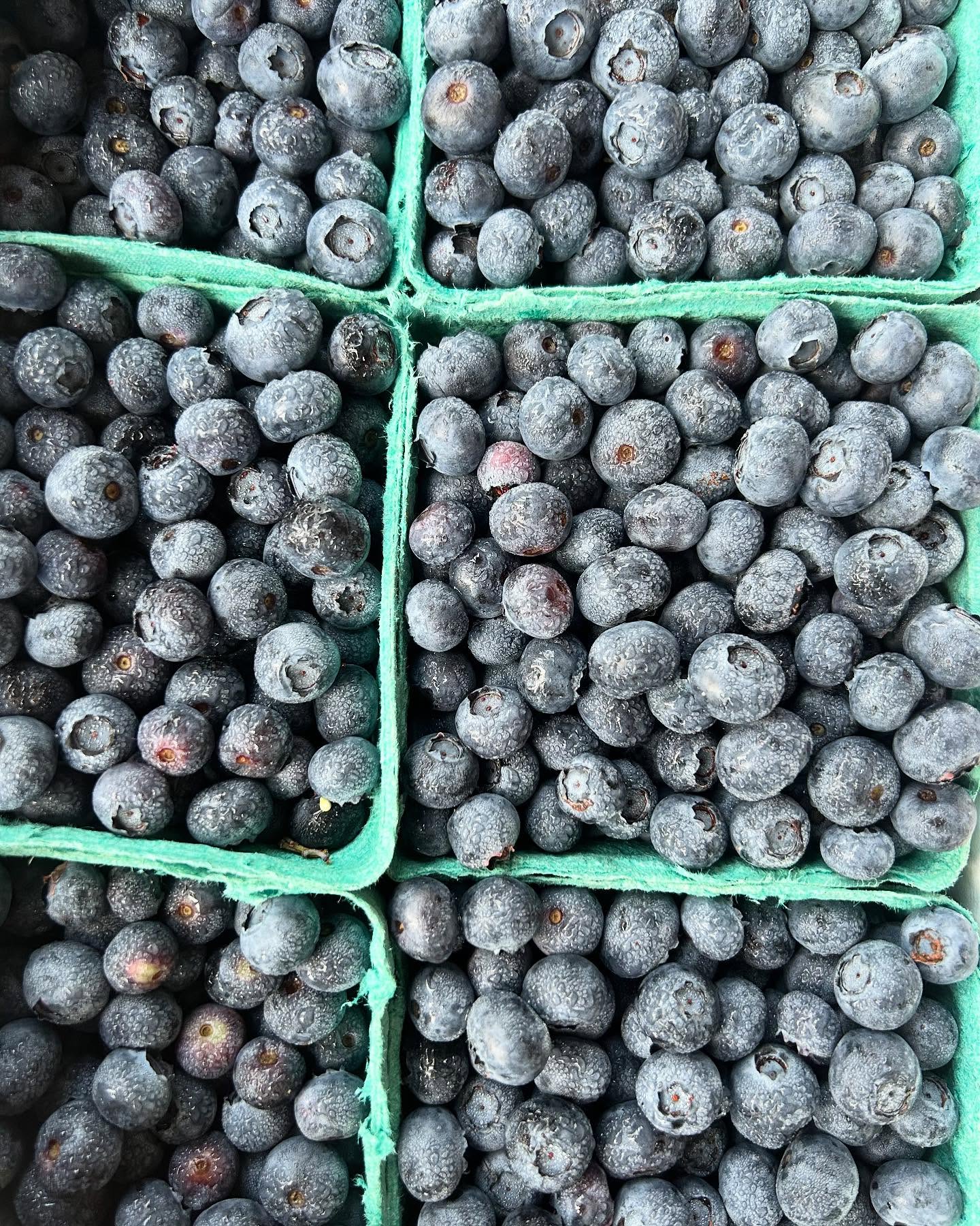 Stop by @bexley_natural_market for fresh pie today 😋
It’s peak blueberry season here in central Ohio, so I made Blueberry hand pies, blueberry mini pies AND blueberry cobbler (thanks to Martin and crew @blueberriedalive💙) Plus I dropped off peach hand pies, whole grain chocolate chip cookies made with local Stutzman Farm whole grain spelt flour, and lots more 🥧💕