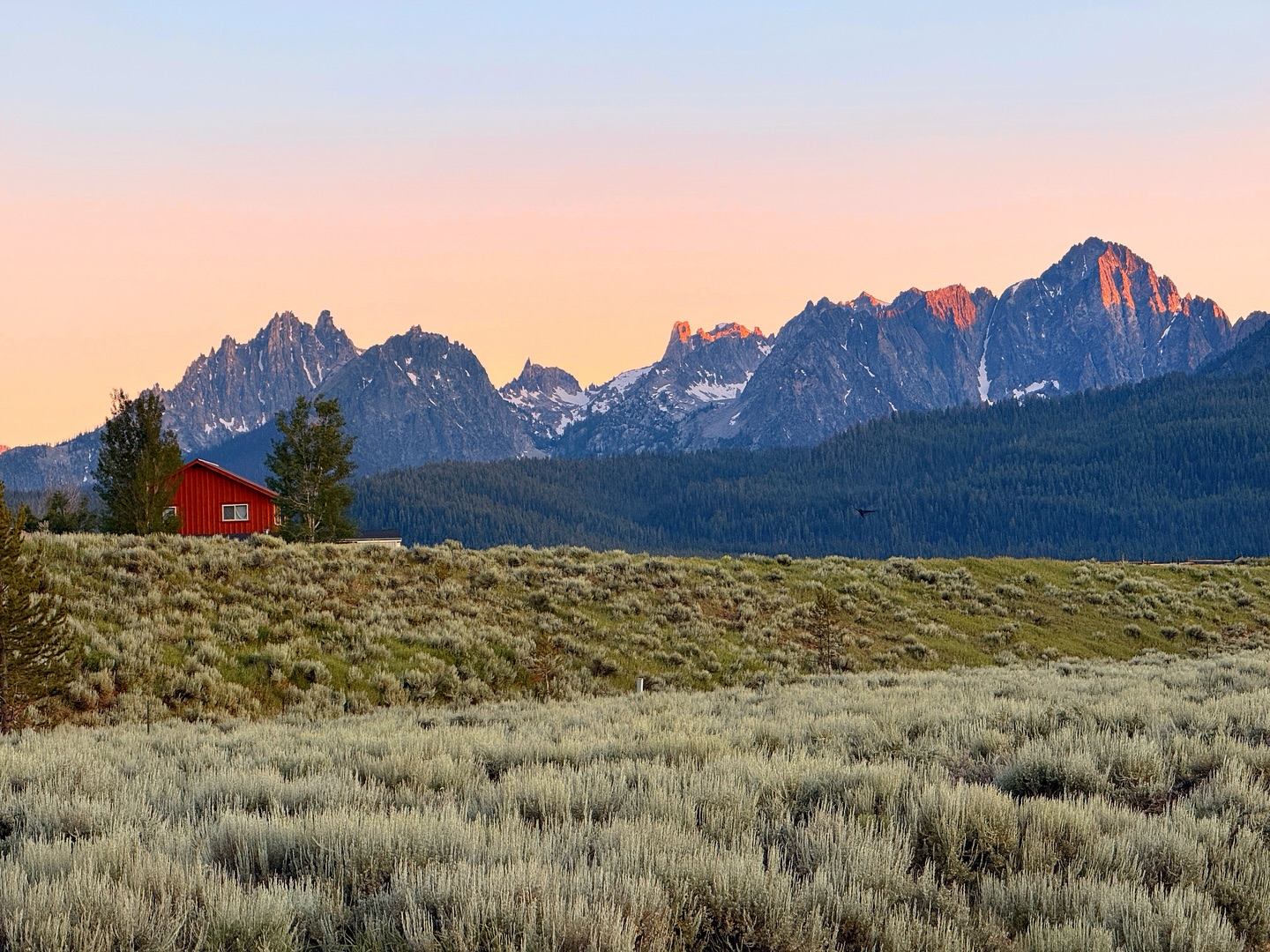 Three days in Stanley, Idaho—and wow, this place never disappoints. Population 117. Largely unchanged over the decades, it’s a little like stepping back in time.
Tucked between the Sawtooths and the Salmon River, it’s one of those spots that burrows into your soul with its beauty and simplicity. We stayed at the Meadow Creek Airbnb just outside of town—quiet, cozy, and surrounded by nothing but views of the meadows and jagged peaks beyond.🌲🏔️
Days here move slow in the best way. Morning coffee with mountain air, whitewater kayaking, hikes to alpine lakes, dinners at the nearby Sawtooth hotel or scrounged on our deck. Watchwords for our time here: be present, be outdoors, soak in nature and let the stillness sink in.
Sometimes (most of the time?), it’s the places with the fewest distractions that leave the biggest impression.
#stanleyidaho #sawtoothmountains #meadowcreekcabin #familytravel #slowtravel #idahoroadtrip #mountainmagic #travelwithteens #getoutside #travelwithteens #familytravel #mindfulmoments #mindfulliving #mountainlover