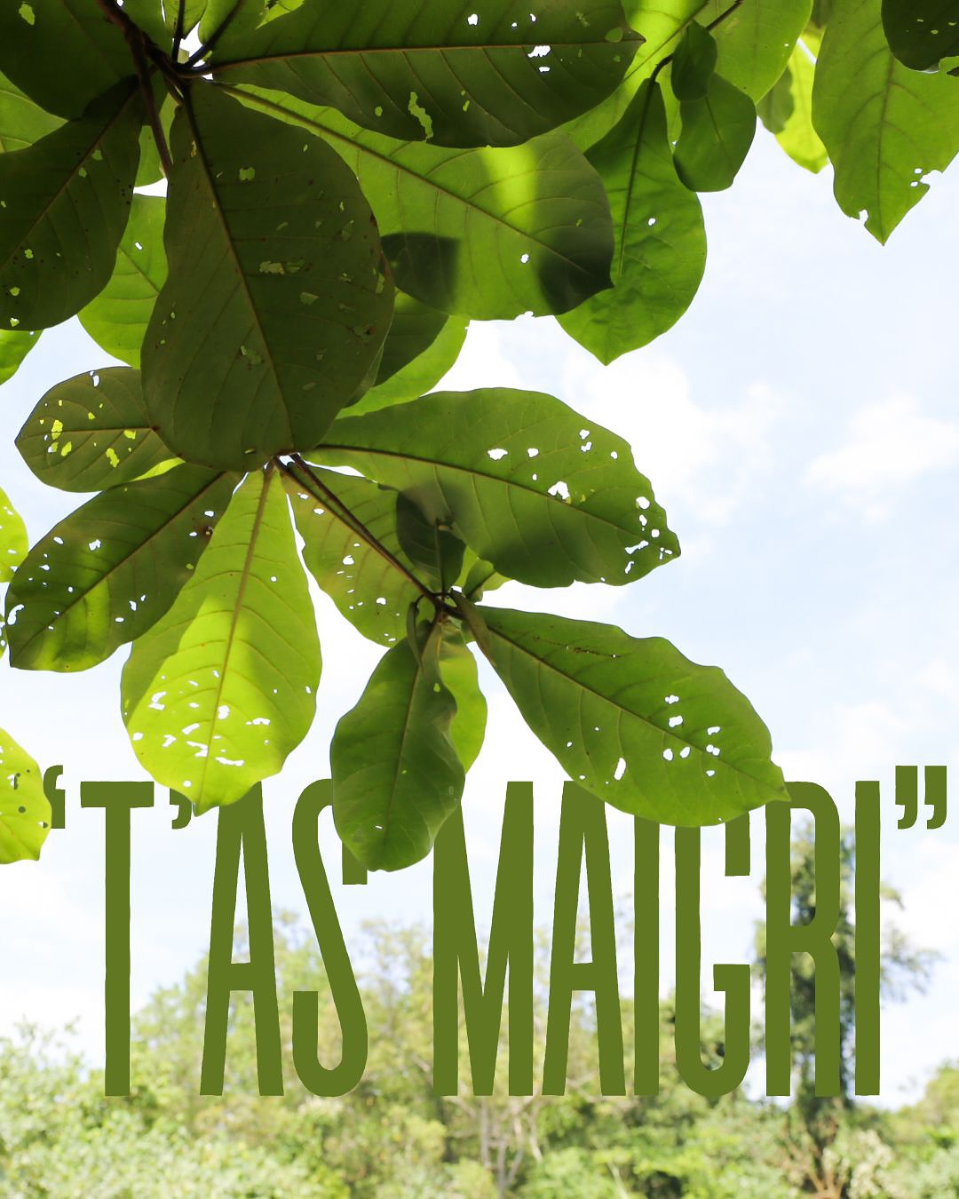 Et si on arrêtait de normaliser et valoriser la perte de poids chez les femmes ? Et si on s’attachait plutôt à leur vraie valeur ? 🫶