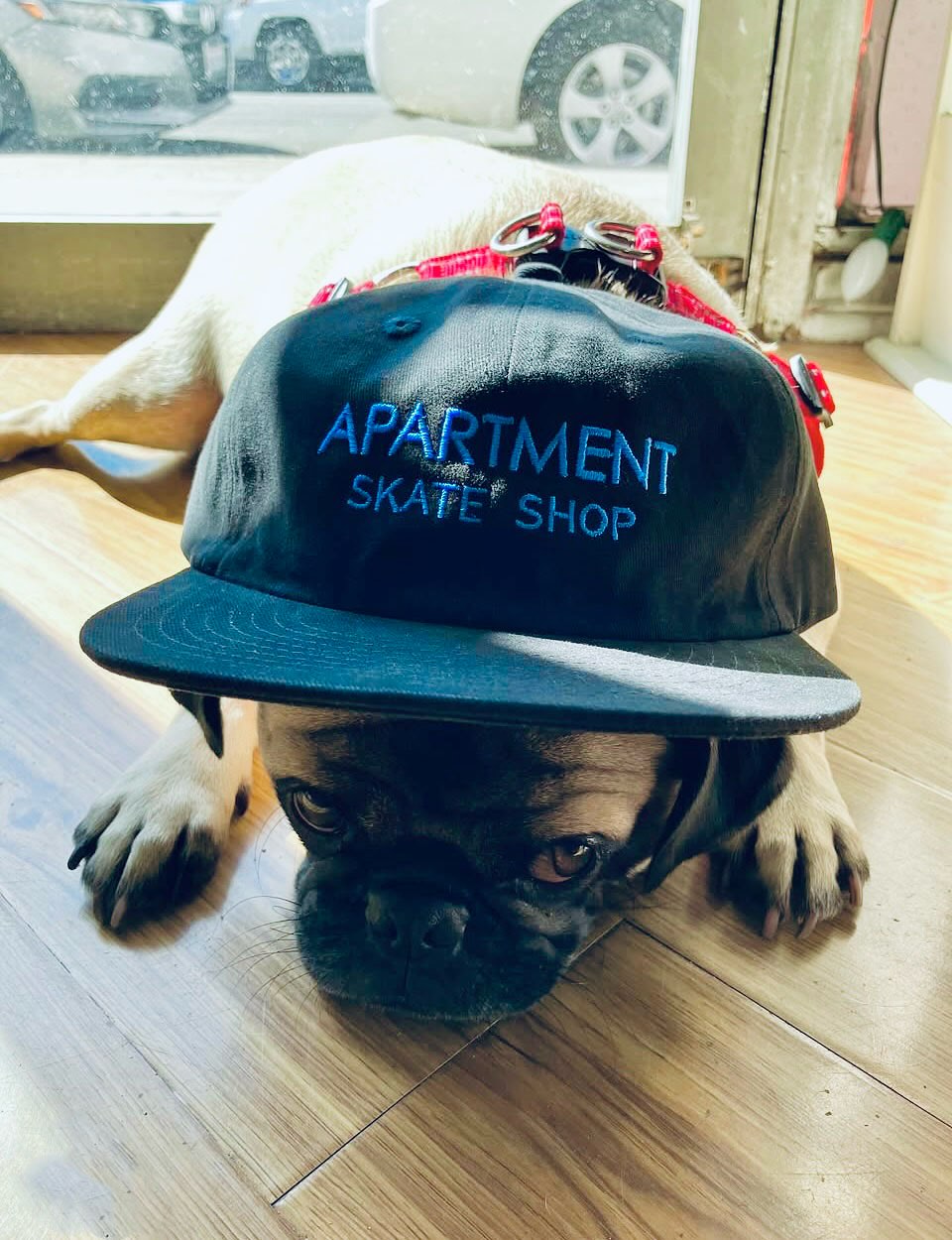 New 🧢’s for my dogs over at @aptskateshop
#supportsmallbusiness #dondobeachmarket #dbm #merchmaker #embroidery #customembroidery #heatpress #design