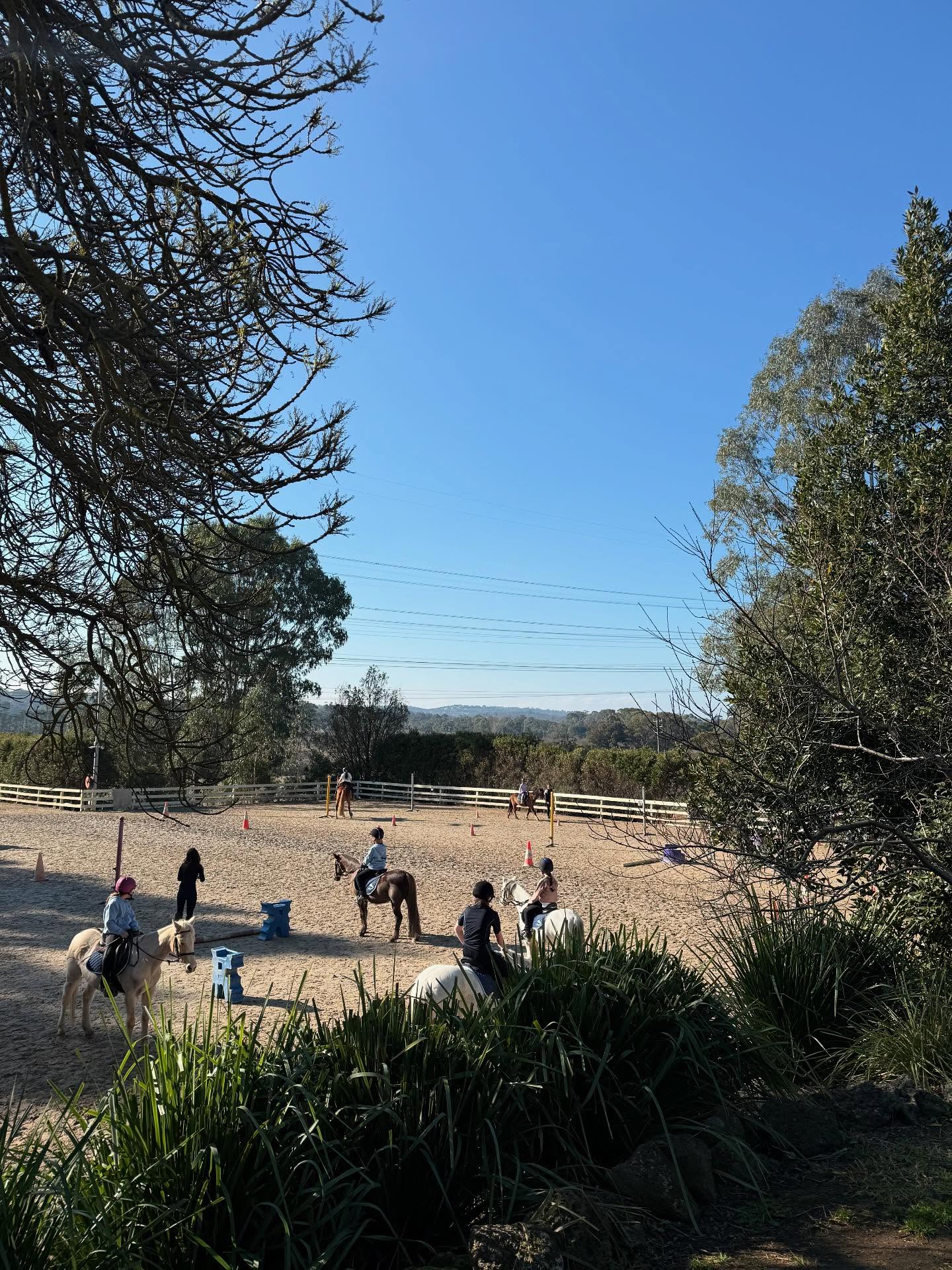 WEEK 2 ALMOST HERE!!
JUMP IN THE SADDLE THESE SCHOOL HOLIDAYS!
Are your kids ready for an adventure this school holidays?
Our holiday programs are designed to provide your child a hands-on, exciting experience with horses! Whether they’re a beginner or an experience rider, they’ll gain valuable skills, have fun, and make lasting memories!
Days: Mon-Fri
Hours: 9am-3pm
Cost $200
What to Bring:
* Packed lunch
* Long pants & suitable clothing for the weather (jumper and/or waterproof jacket)
* Water bottle
Our day entails:
* 3 hours of riding each day
* Hands-on horse handling and riding theory
* Fun activities and interaction with horses, including brushing and saddling
* For all abilities – our experienced instructors will cater to your child’s needs
Bookings can be made via our online portal, via email or CALL US TODAY! 🐴