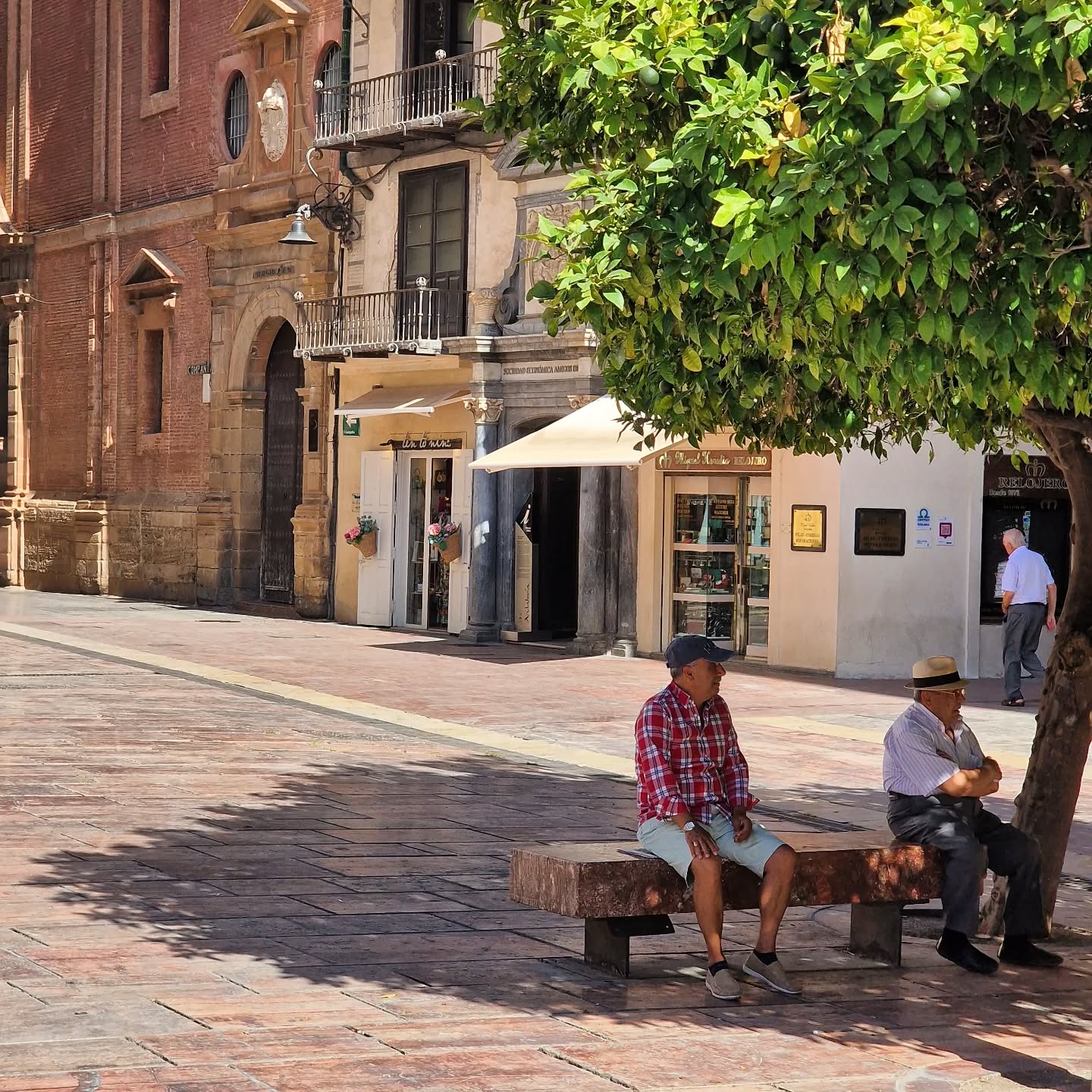 ➡️ Gentlemen cooling down 🌡
📍 Plaza de la Constitución
.
.
.
.
#lovingmalaga #malaga #malagalife #malagaturismo #málaga #malagatoday #andalucia #ckmalagalife #ok_malaga #ok_andalucia #españa #spain #visitmalaga #costadelsol #ok_spain #photosofmalaga #malagaconacento #spain_all_pics #summervibes #travel #travelphotography #latemalaga #enamoratedemalaga #latildedemalaga #summer #shadow