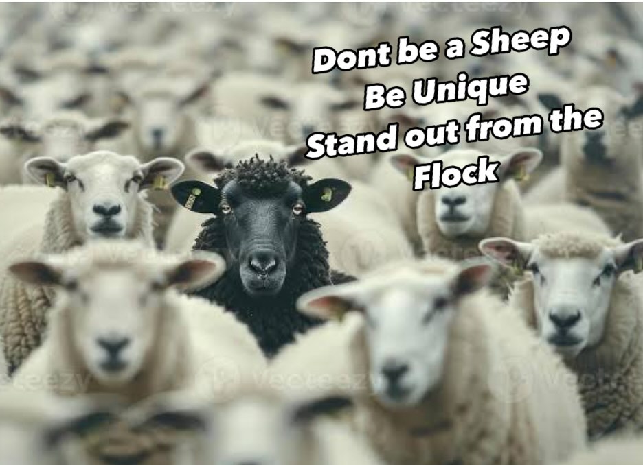 Did you know we try and source unique handmade items? š§š¤
Many of our items including vases, jugs ,plates and earrings are handmade and the creator only makes a line for a small period and then moves on the next colour or style.ā¤ļø
I love thrill of being unique, setting my own path, rather than following the flock. š I source items from my overseas travel and from experiences I have along the way and complement the items with country themed homewares.
Styles with The Blue Hare are constantly changing so if something catches your eye grab it before itās gone.
I often get messages asking if I still have certain items but like myself I like you to have unique items too and once product line has ended we are often sourcing the next style or colour.
I encourage you to stand out and have your own style (dont be part of the flock) dont copy others - now is your time to shine. āØ
If you make your own unique product and would like to stand out from the flock contact me via email @ theblueharehomewares@gmail.com I would love to stock your items if it complements the country theme of The Blue