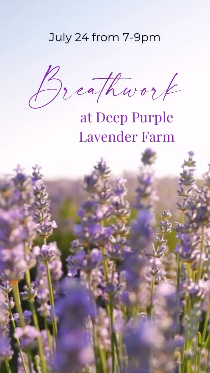 This is going to be such a special special evening! Golden hour, surrounded by the sent of lavender and sounds of nature, deeply connected to your body and breath. Can you picture it?! We are going to immerse ourselves in powerful breath, rejuvenating lands and oh so yummy treats! Yes, there will be treats!
Every journey is different! The intention for this evening is to revitalize your soul and shed anything that is holding you back from your truest highest potential. We will heal parts of you, open up power within you, help to find your voice, shed the weight of others you have been holding and honour, I mean truly honour all that you do and all that you are. Come with nothing more or nothing less than exactly as you are.
Details are on the events page at dawnrosemary.com. Space are limited.
I cannot wait to breath, heal, nourish, grow and connect with you!
@deeppurplelavender
@dawnrosemary_