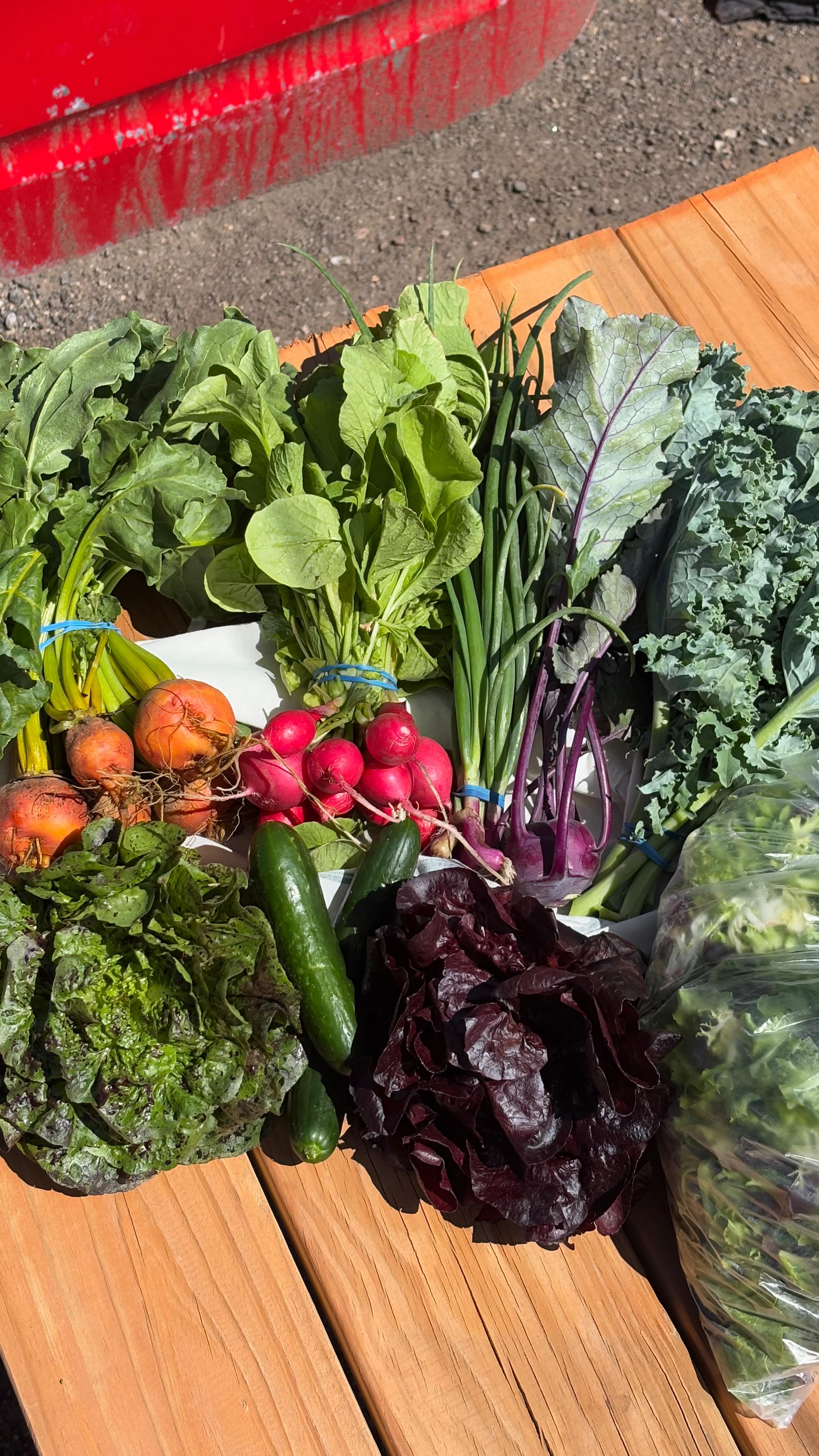 🍅🥕🥬🥒🌽
CSA Week Six, we haven’t even hit peak season yet 👀
Enjoy your colorful eats this week!
✨
There is a surprise from @acrelyfarms in this weeks bag