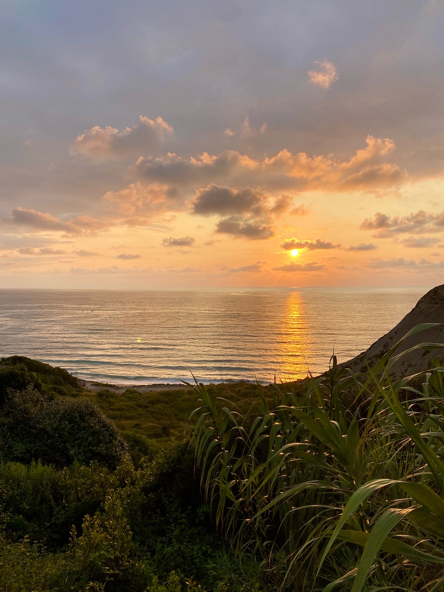 Tropical sunset ✨
#bidart #paradise #sunset #paysbasque