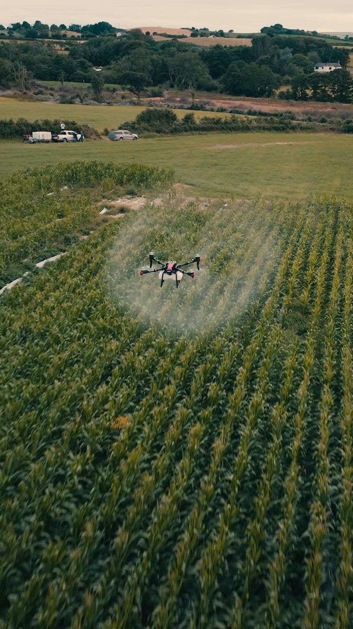 A-MAIZE-ING!!
When agri-tech meets forward thinking farmers.
Give us a call for foliar feed application.
We also supply our own fertiliser 🌾 🐄 🚁
#highvantage #maize #maizegrowers #dairyfarmers #agritec #xag #xaguk #spraydrones #drone #jedzmedia