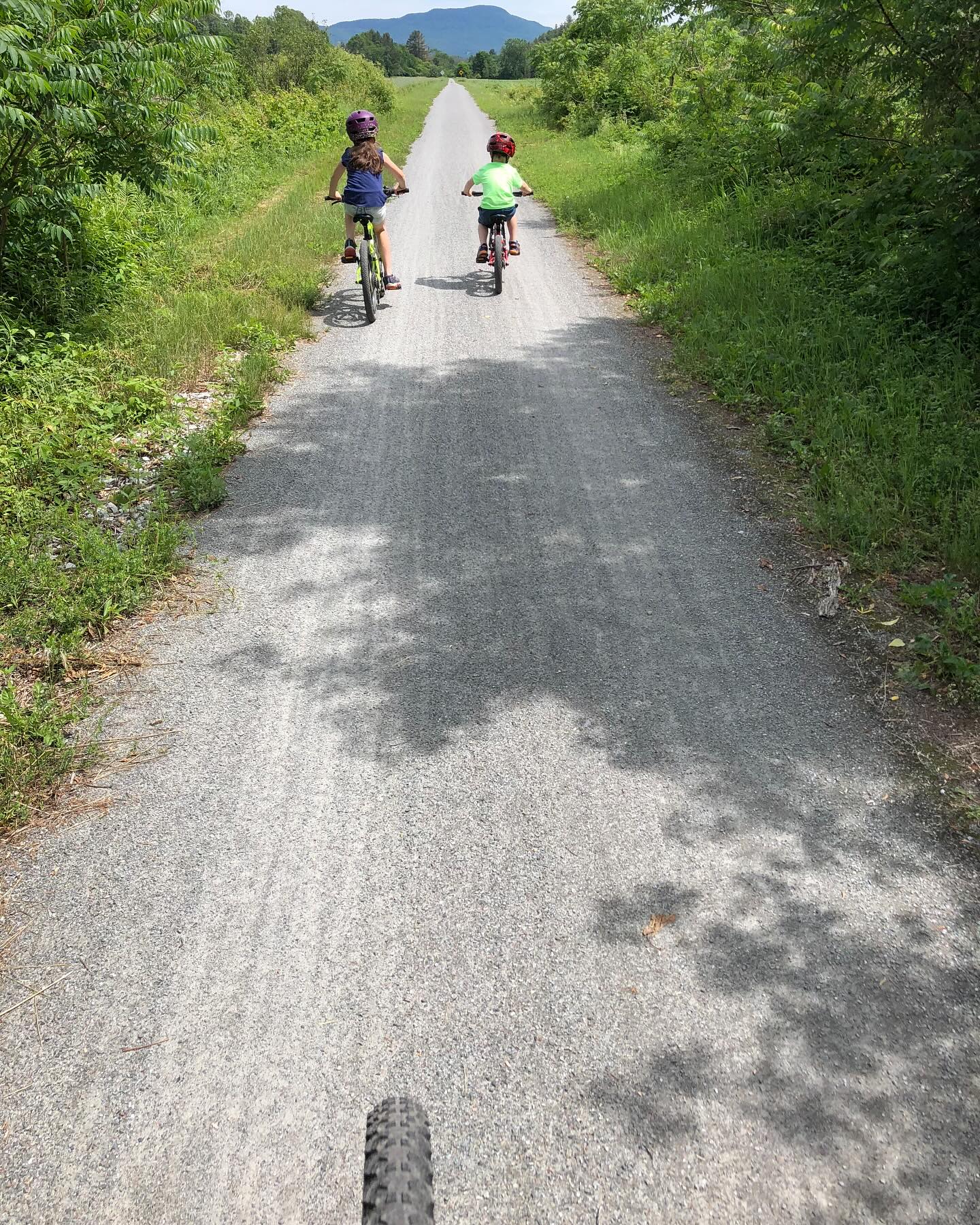 Make the most of these summer days with your little ones! While they are fleeting the memories will last a lifetime. #vermontebikerental #vermontbikerentals #lamoillevalleyrailtrail #summerwithkids #scenicroute #railtrail #thingstodoinvermont#stowevt #smugglers #burlingtonvt#smuggs #seevermont #explorevt#visitvermont#vermontvacation