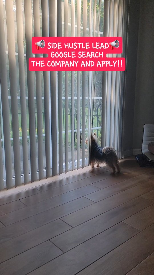 New hustle drop 💼✨ Instawork lets you pick up shifts on your terms quick cash, no drama. You in or nah? 🤑 #SideHustlePlug #BaddiezMakeBankSide Note: Instawork is a marketplace where local businesses and talent find each other. They make it easy for businesses to find quality hourly workers on demand.You're go to job app 📲 for finding gig work💰
.
If you want my "50 Hustles To Make Money Online" Download, drop me a 🦄 or DM "50 ways" and I will send it to you.🚀 "Ready to transform your finances? 💰 Dive into one of our ultimate guides to financial freedom! 📚 Download our ebooks now and unlock proven ways to make money online. Your journey to wealth starts here! 💻
.
Follow @thedivaonline for more #wfhjobs and #sidehustles 💋
.
.thedivaonline #blogger #1000visionariesdigitalproducts #dfydigitalproducts #howtoworkfromhomedigitalmarketing #easywaystomakemoneyhowtostartanonlinebusiness #howtomakemoneyonline #digitalnomad2024sidehustles #wifimoneywomensupportingwomen #womeninbusiness #entrepreneurlifeSideHustleAlert #InstaworkPlug #MoneyOnYourTerms #BaddieApproved #WorkFlexHarder