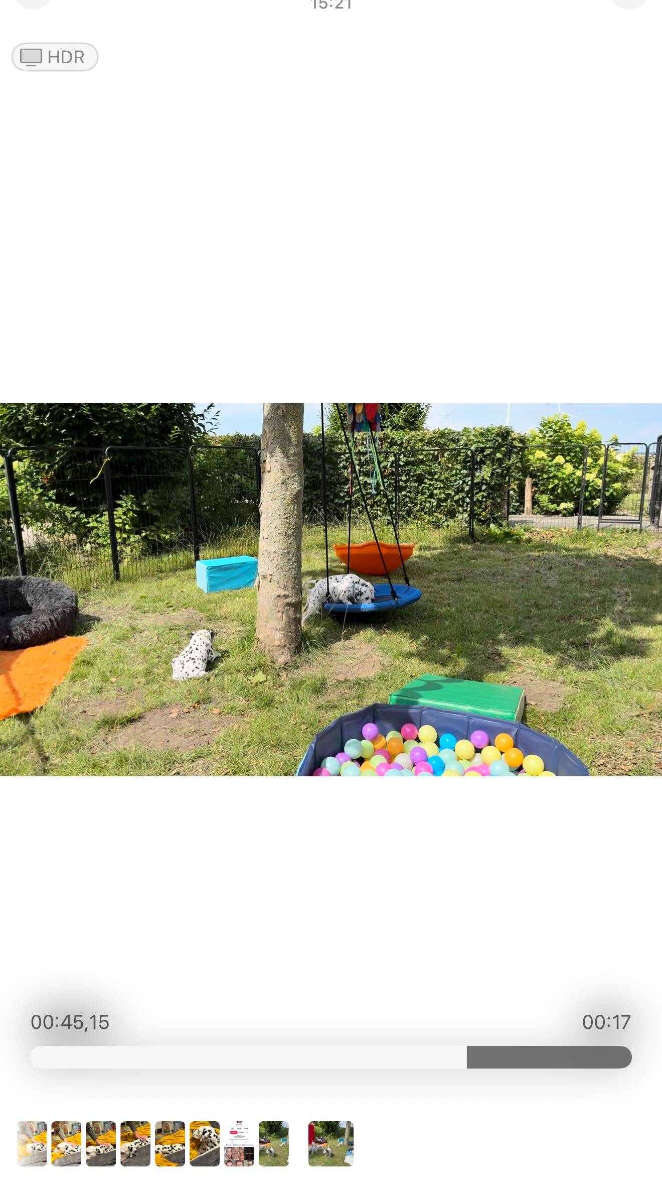 Een impressie van een deel van de puppyspeeltuin🐾🌱🌳
#verwendehondjes #lekkerbuiten #lekkerontdekken