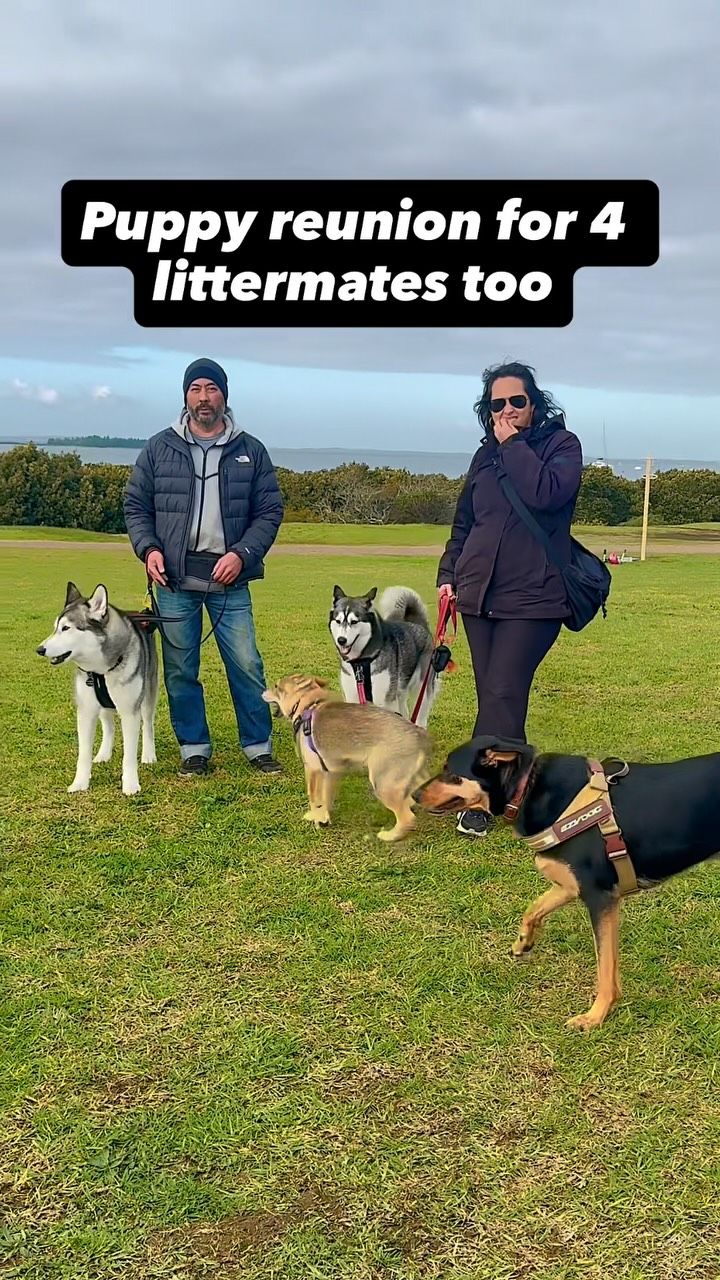 Thanks to everyone who came today! Great pack walk & lunch at the pub.