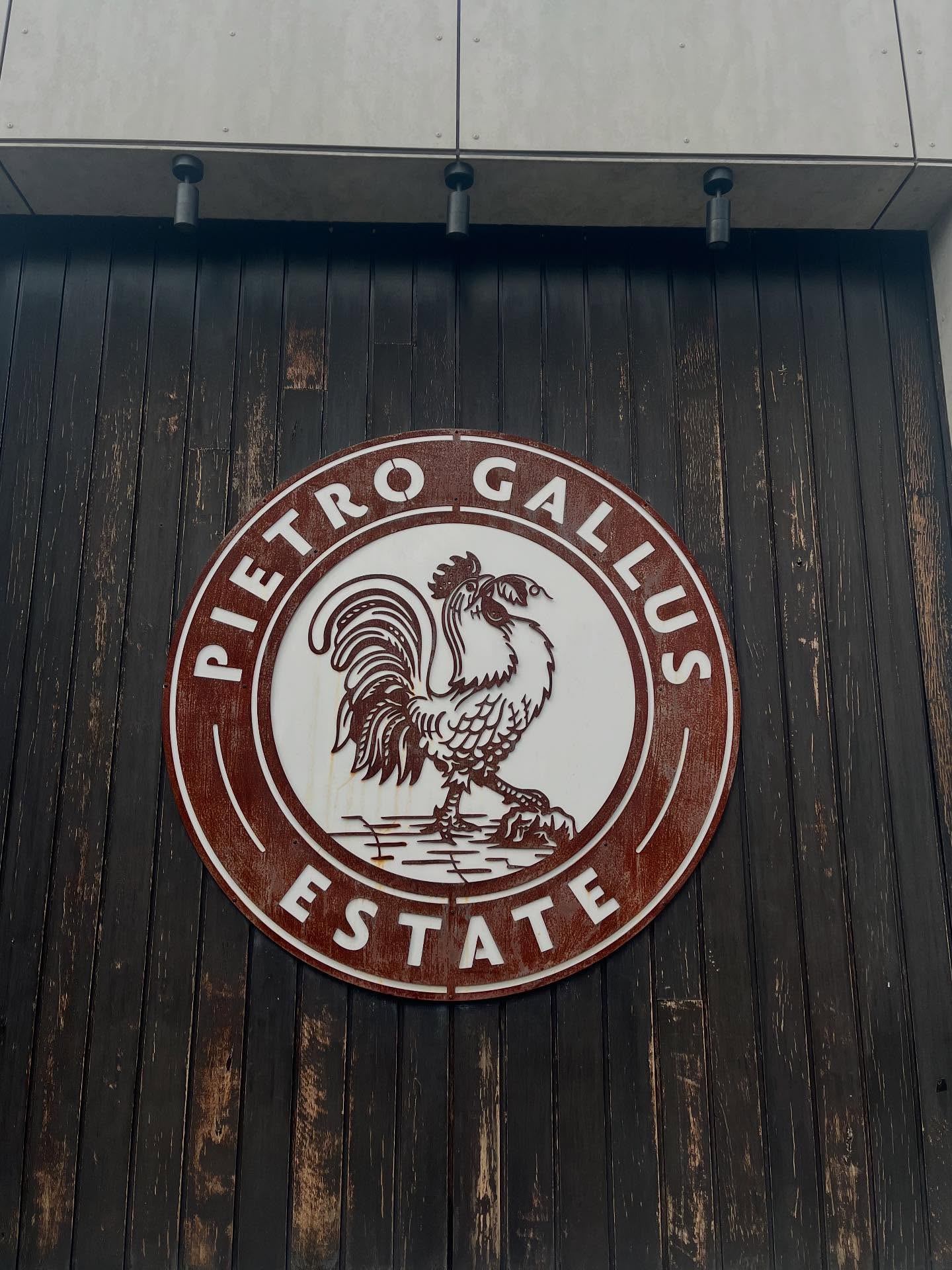 Cheeky Saturday off means a last minute wine tasting at @olivigna @pietrogallusestate ✨
Perfect way to spend an afternoon looking over my home of Warrandyte. I think the best cocktails I’ve had and bloody great staff! Next time we shall be prepared and have a meal!