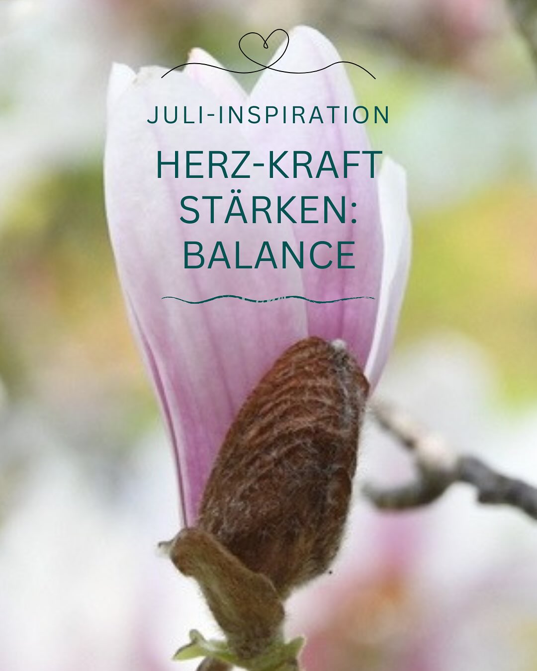 ❤️MÖCHTEST DU DEINE HERZKRAFT MIT MUT IN DIE WELT TRAGEN?
Der Juli ist ein heiterer Monat. Er gibt uns die Kraft, uns ans scheinbar Unmögliche zu wagen. Uns dem Abenteuer des Lebens voll und ganz anzuvertrauen.
🧡MEINE MAGNOLIE HAT IM INNERN KRAFT GESAMMELT.
In ihrem Innenleben hat sie Wasser und Nährstoffe von den Wurzeln zu den Blättern befördert. All das durch die Rinde geschützt vor Umwelteinflüssen. Und nun, mitten im Sommer, macht sie sich an, Knospen zu bilden für die Blüte im nächsten Frühling.
💛AUS UNSEREM INNERN FORMT SICH DAS AUSSEN.
Die Fülle des Lebens ist bereits in uns angelegt, im Kern unseres Herzens. Sie wartet darauf, in lebendige Realität gebracht zu werden. In einem Wechselspiel von Innen und Aussen - einer Balance, die auch gesunde Grenzen vor äusseren Einflüssen erfordert.
💚UNSER INNENLEBEN SCHÜTZEN UND IHM KRAFT GEBEN.
Auf unserem Herzensweg begegnen uns Widerstände, Zweifel, Ängste. Dann gilt es, unseren Herz-Kern zu schützen. Ganz bei uns selbst zu bleiben. Unser Inneres zu nähren und uns nicht von äusseren Umständen von unserem Weg abbringen zu lassen. Denn: unsere innere Welt gestaltet unsere äussere Welt.
💙DEINE HERZKRAFT VON INNEN HERAUS IN DIE WELT TRAGEN.
Möge dir der Juli den Mut dazu geben. Das wünsche ich dir von Herzen.
💌WAS HILFT DIR, DEINE INNEN-AUSSEN-BALANCE ZU HALTEN?
Ich freue mich auf deine Inspirationen dazu in den Kommentaren.
#herzkraft
#herzensweisheit
#zeitfürdich
#intuitionstärken
#innererweg
#frauenpower❤️
#achtsamkeitindernatur
#naturmomente
#naturverbunden�#sommerliebe
HERZKRAFT
MUT
INNERER WEG
HERZENSWEG
HERZENSWEISHEIT