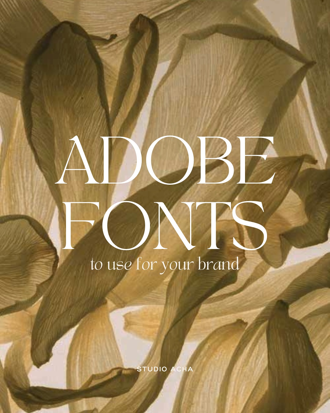 Als brand designer kun je uren verdwalen in Adobe Fonts op zoek naar dat ene perfecte lettertype dat jouw merk precies laat spreken. ✨
Daarom deel ik vandaag een paar van mijn favorieten, om jou te helpen bouwen aan een sterk en visueel krachtig merk.
Sharing = caring, dus laat ook jouw toppers achter in de comments! 💭