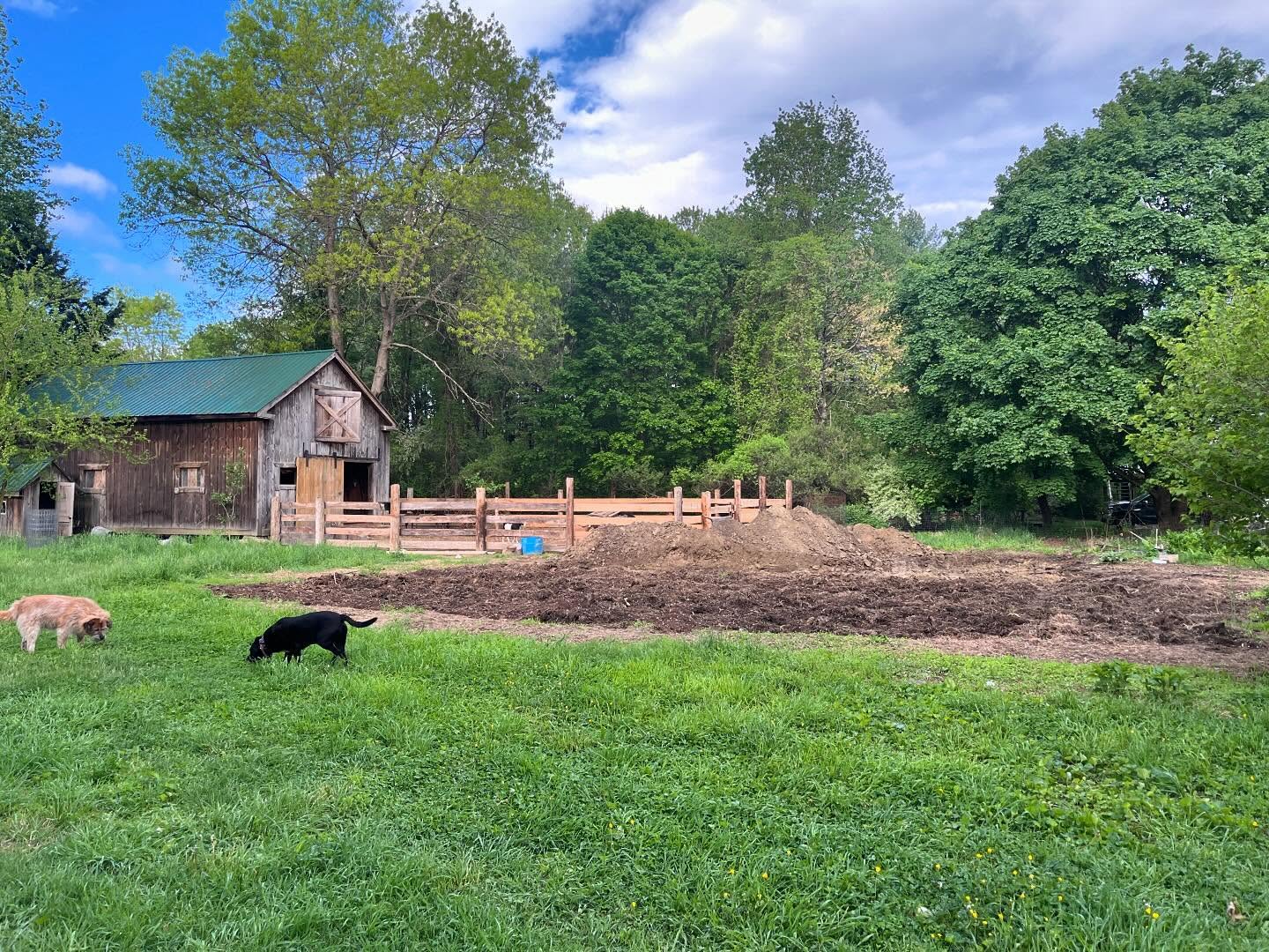 A little garden transformation!
May- July
It’s so fun watching the gardens explode!