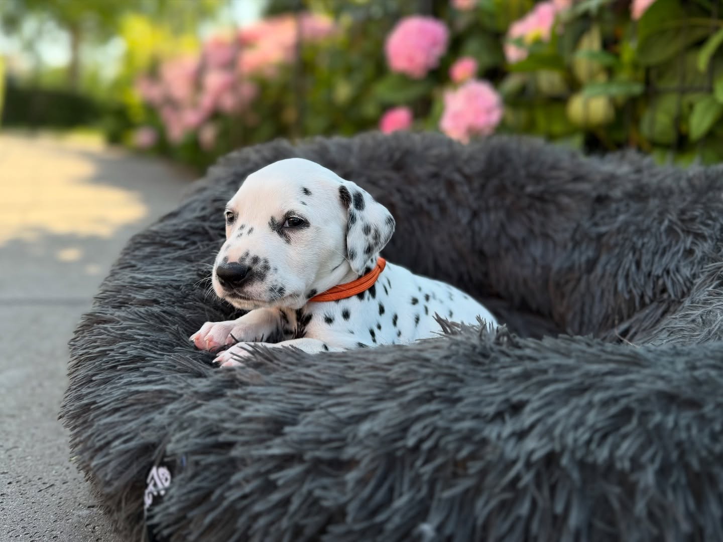 Wat een heerlijke dag vandaag☀️ Een paar impressie foto’s