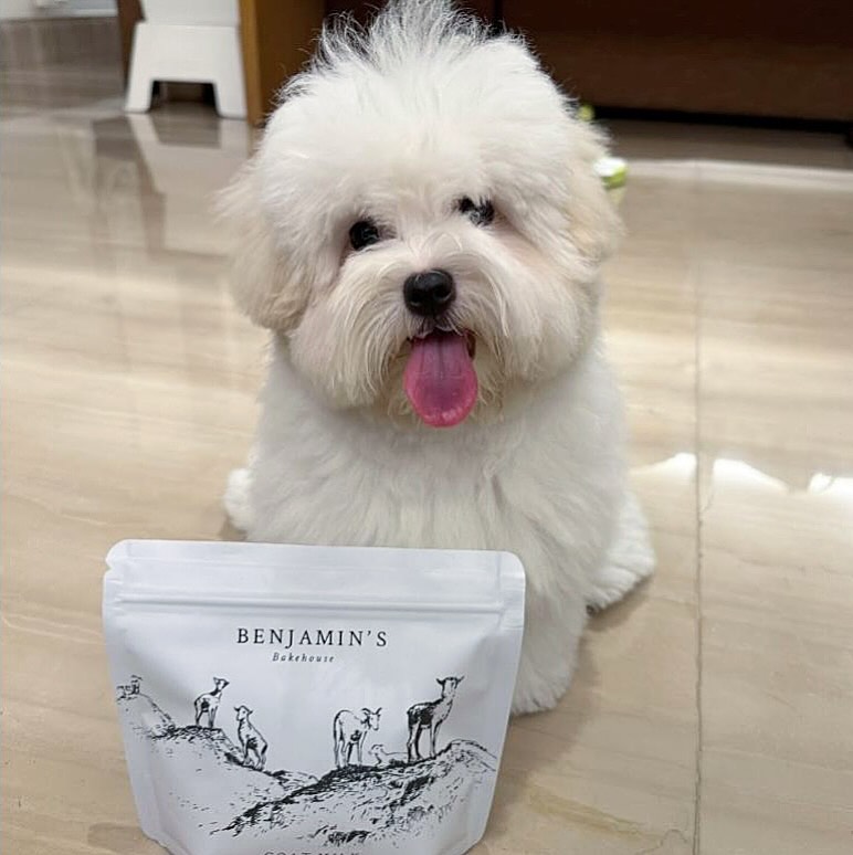 Early morning breakfast for Poppy with our best seller goat milk powder🐐🥛 #benjaminsbakehouse