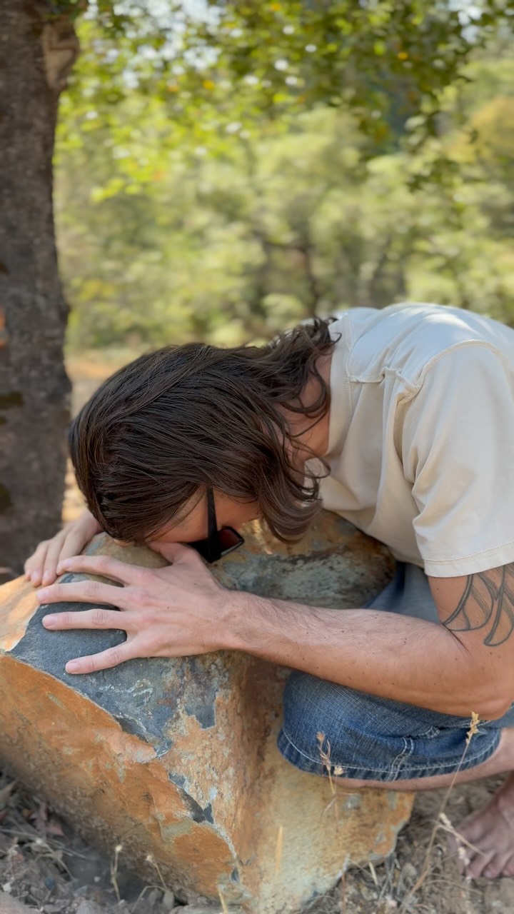 My Journey with Chat GP-Tree…stay tuned for more downloads from this ancient sentient technology 🌳