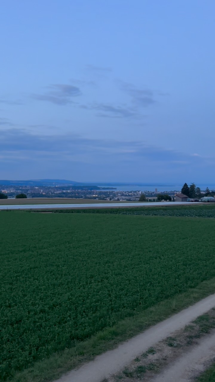 Lagerplatz füherig ⛺️🙌💥#sola#lagerplatz#jublaschweiz#jublathurgau