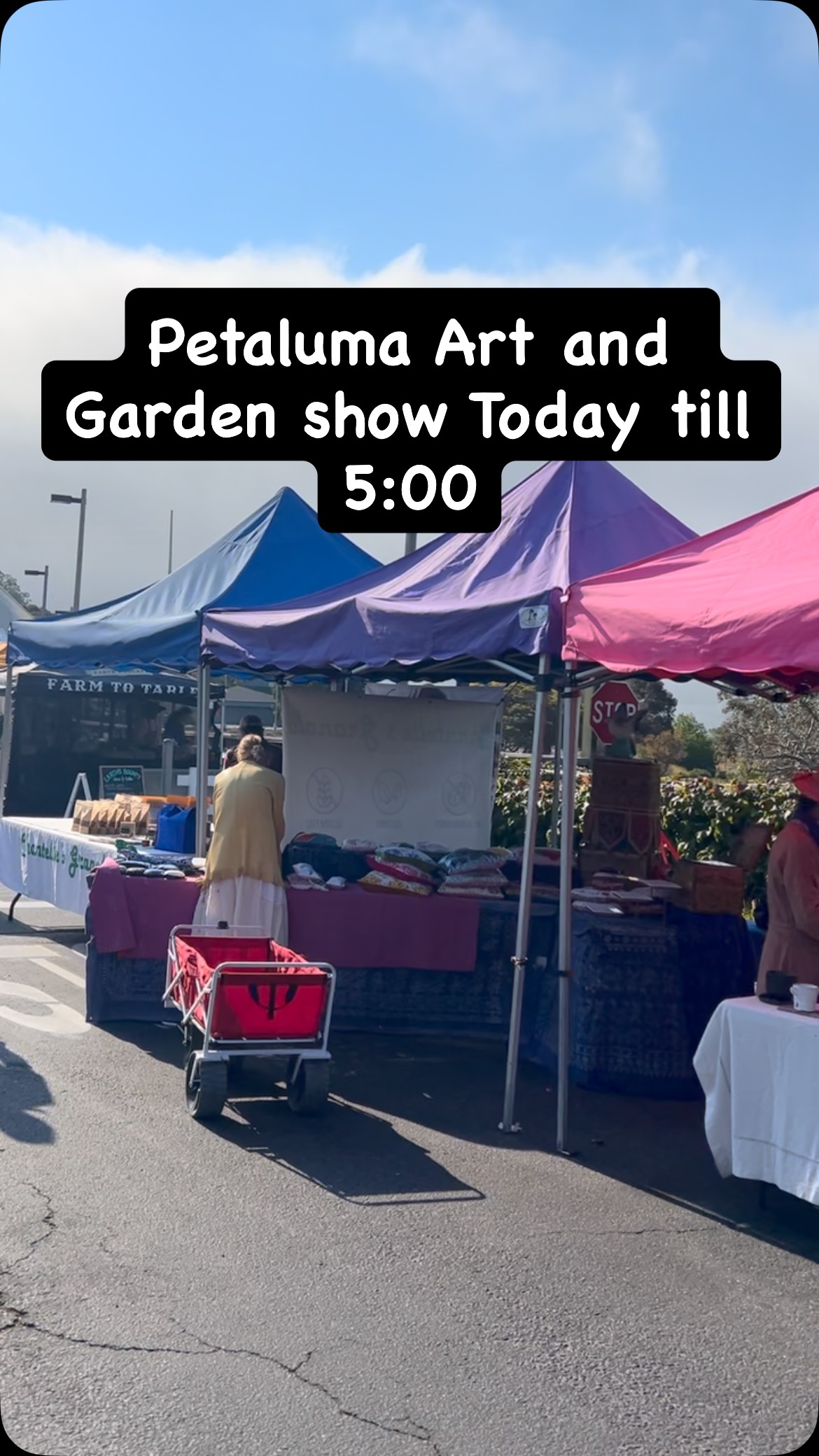 Stop by and say hello!