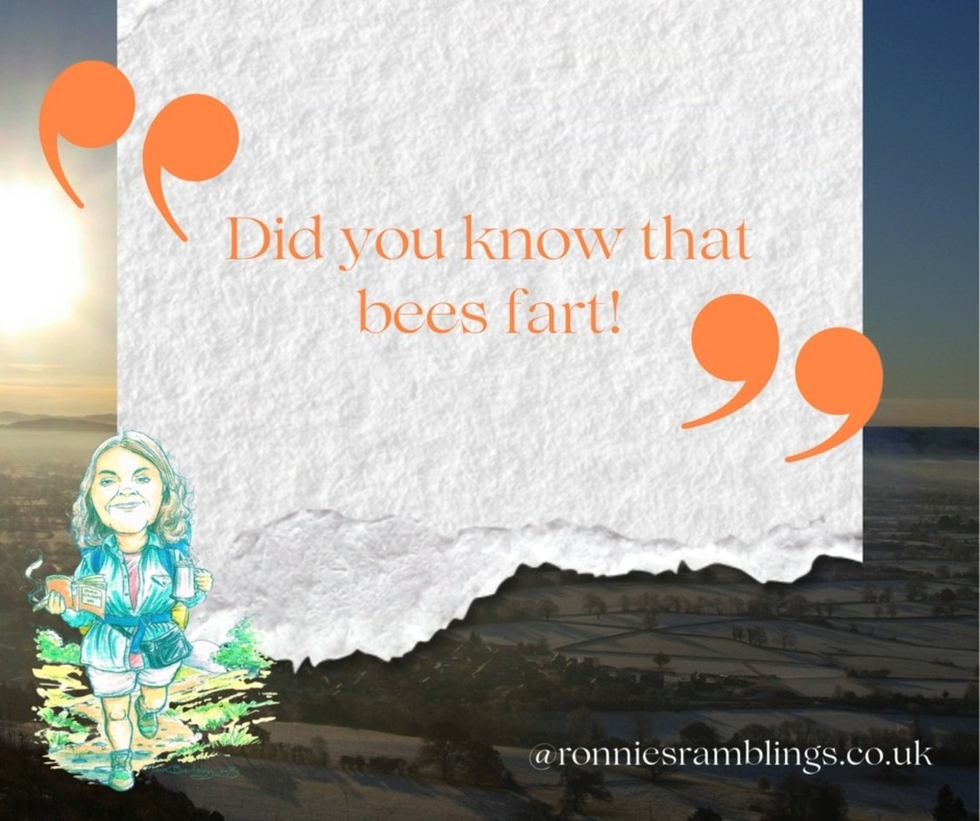 ✨ Weekly Smiles from Ronnie ✨
Ronnie’s notebooks are little treasure chests of joy, eccentric wisdom, and unexpected giggles — just the thing to brighten up your day!
#WeeklySmilesFromRonnie #RonnieQuotes #notebooklove #ronniesramblings #ronniesgifttous