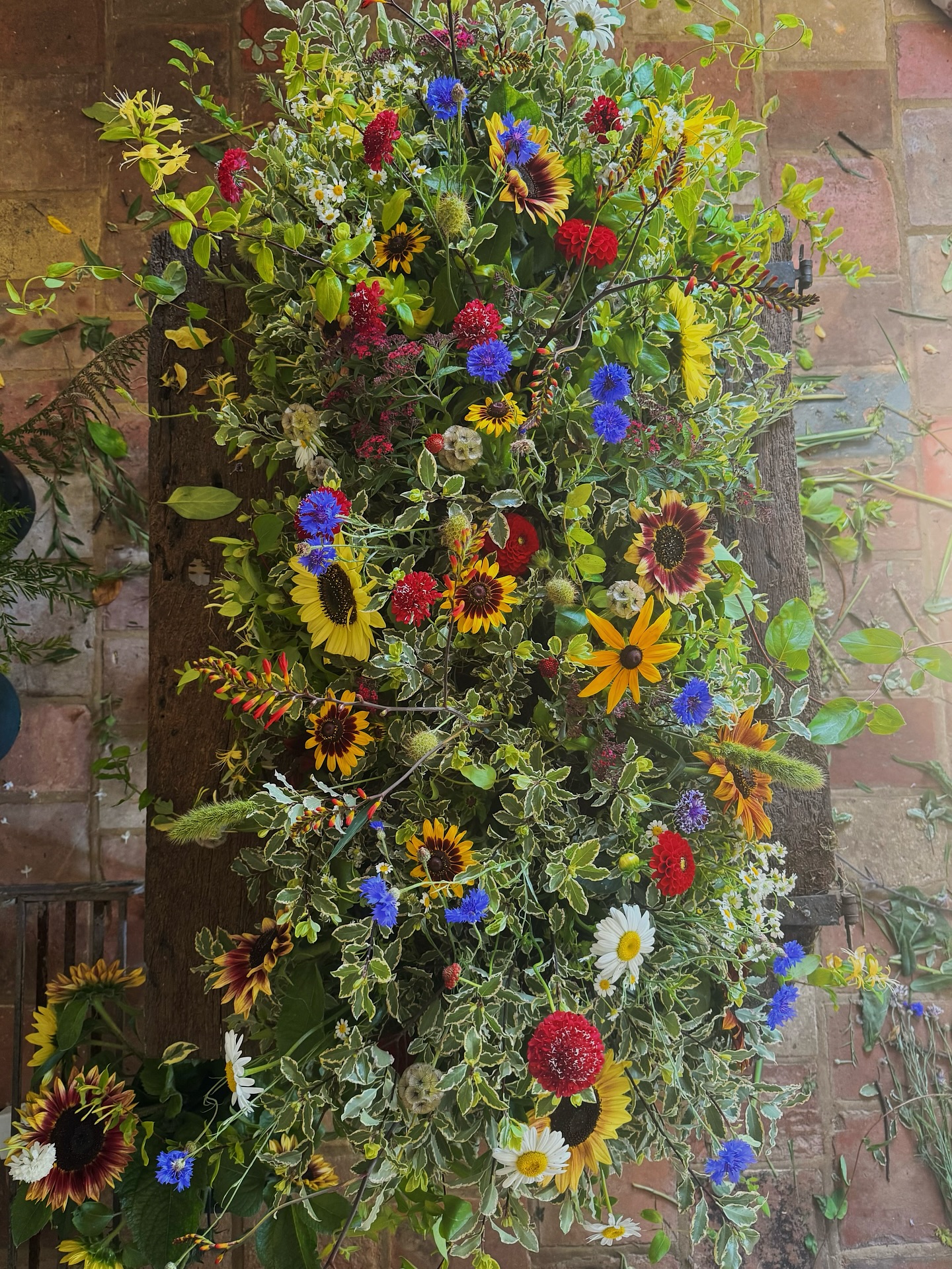 Celebration flowers
In honour, admiration & love for a truly wonderful man
Sunflowers his favourite, yearly gifting seedlings to the local community including my own cutting patch. Self seeding throughout will flower on & on
Cottage garden flowers, scabious, cornflower, crocosmia, rudbeckia. Seed heads reflect his passion for saving all
Trails of fragrant honeysuckle lead to his garden haven
Arrangement designed sustainable, foam & plastic free. Using bamboo trays & Norfolk Sphagnum moss
Table arrangements with passion flower
With all my love
#celebrationflowers #farewellflowers #sustainablefloristry #sustainableflowers #cottage #garden #flowers #britishflowers #norwich #norfolk #wymondham #attleborough #southnorfolk #occasionflowers #plasticfree #foamfree #bamboo #floraldesign #flowerart #flowerarrangement