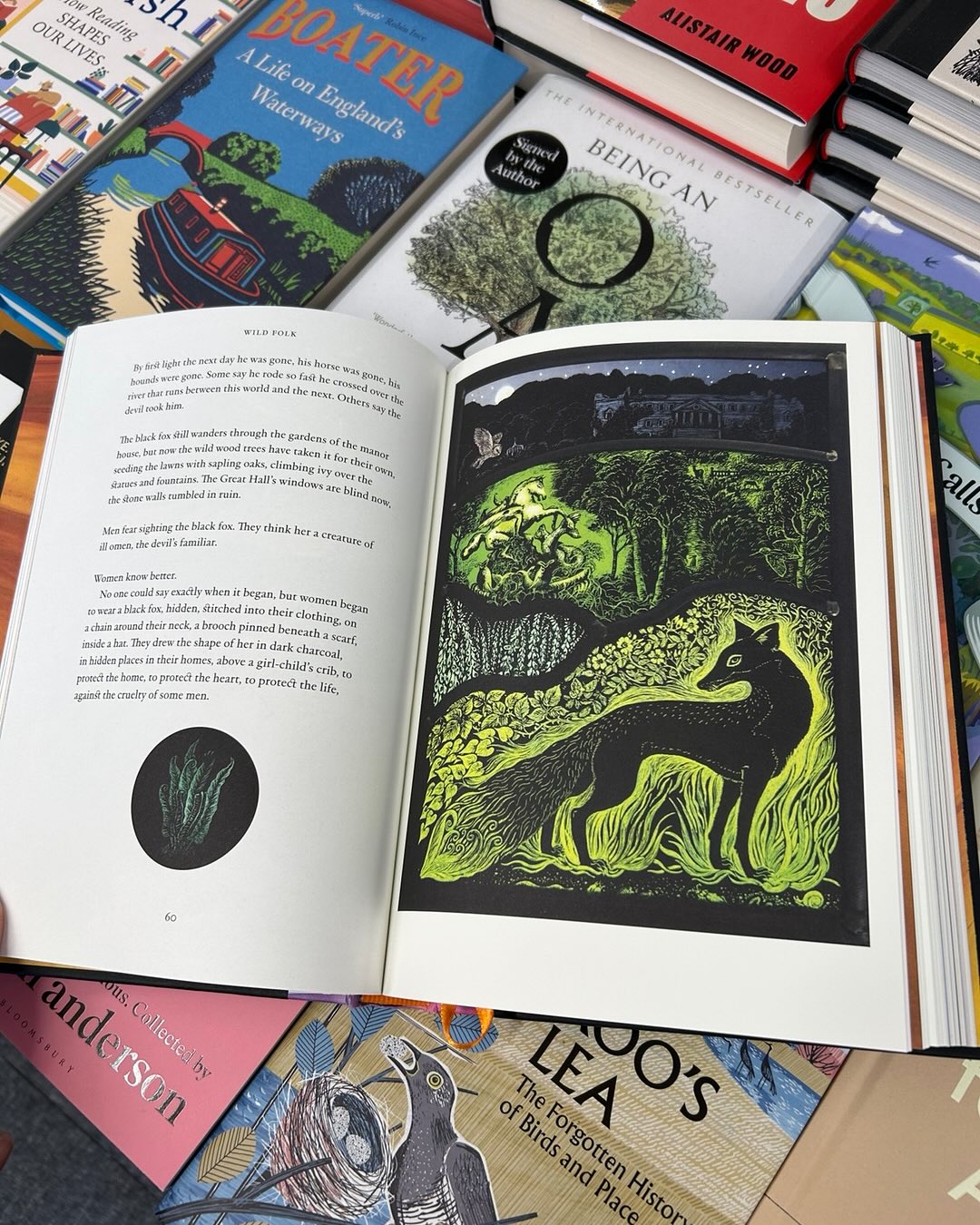 This is the stunning new book from one of our favourites, Jackie Morris along with the super stained glass artist Tamsin Abbott
This book features seven fables that explore the connection between the natural world and folklore. Each of the seven tales are fables of transformation and power, summoned from the ancient stones beneath our feet and transformed by word and image into portals between past and future. The tales are neither new nor old. They are full of ‘wild folk’, shape-shifting spirits that carry the energy that connects all things.
It’s a beautiful book, one for my collection! In stock now. #bookseller#indiebookshop #downham#norfolk#jackiemorris #tamsinabbott